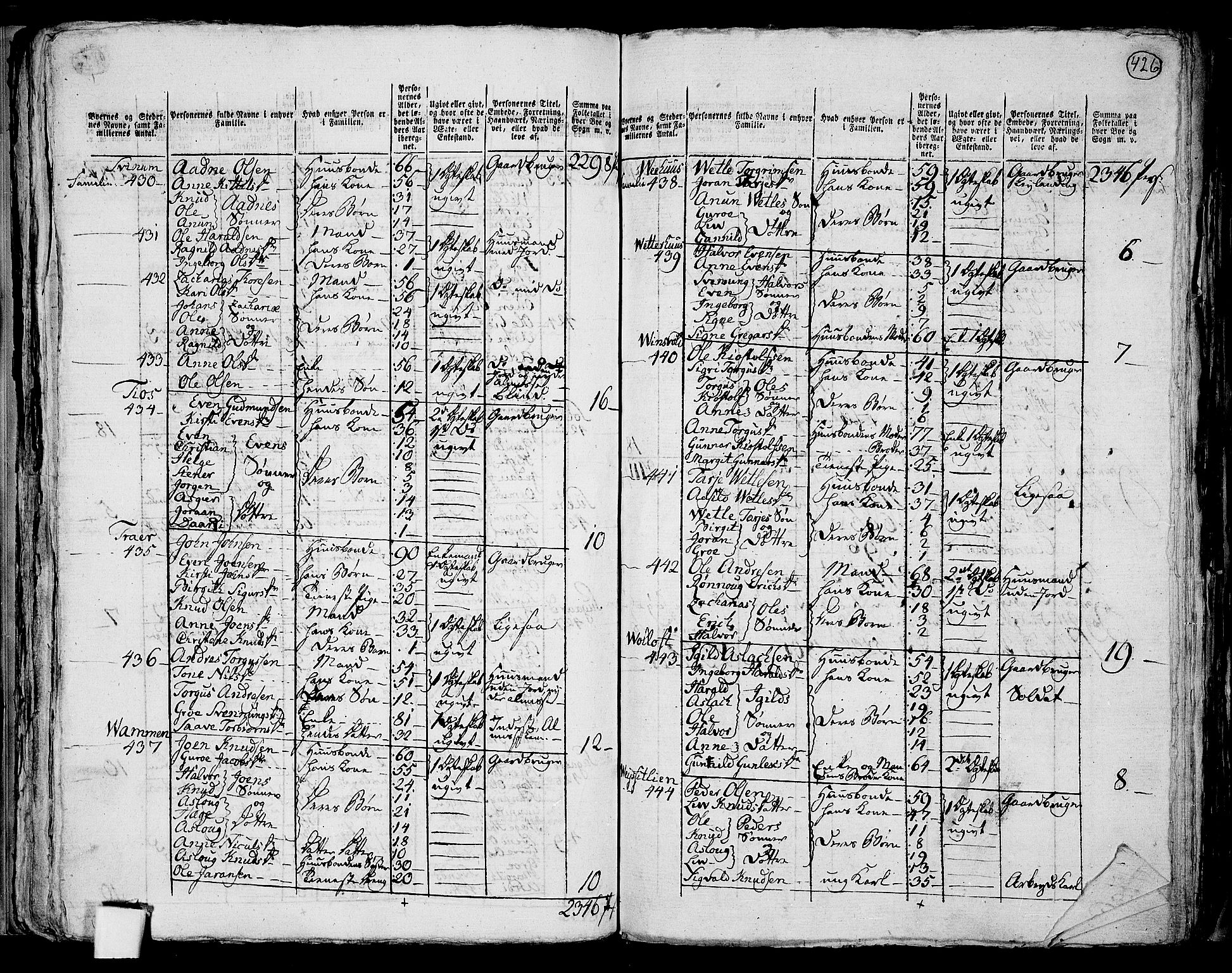 RA, 1801 census for 0828P Seljord, 1801, p. 425b-426a