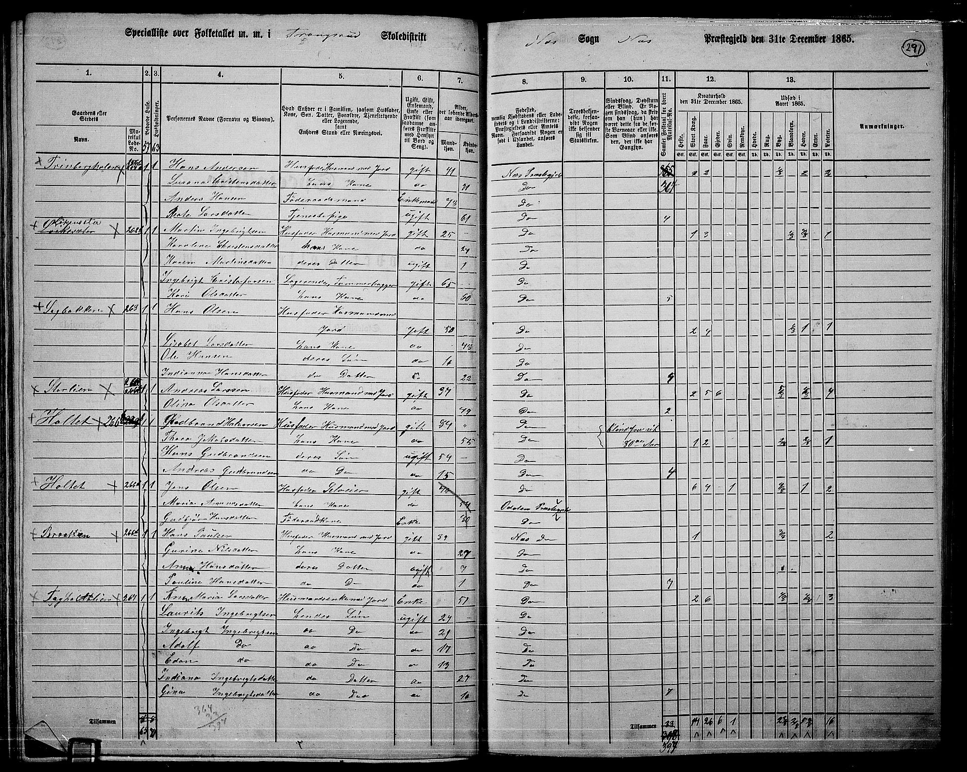 RA, 1865 census for Nes, 1865, p. 271