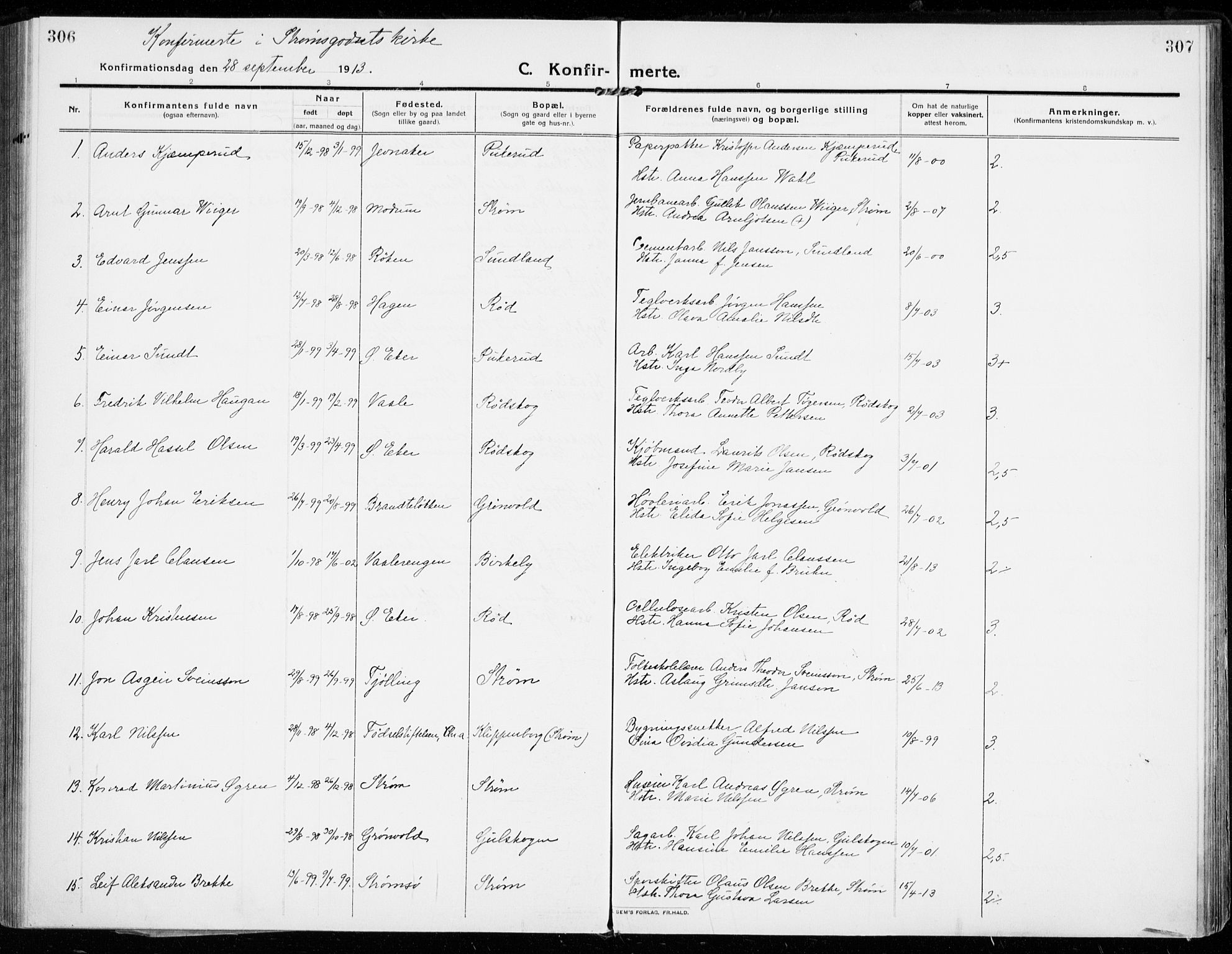 Strømsgodset kirkebøker, AV/SAKO-A-324/F/Fa/L0002: Parish register (official) no. 2, 1910-1920, p. 306-307