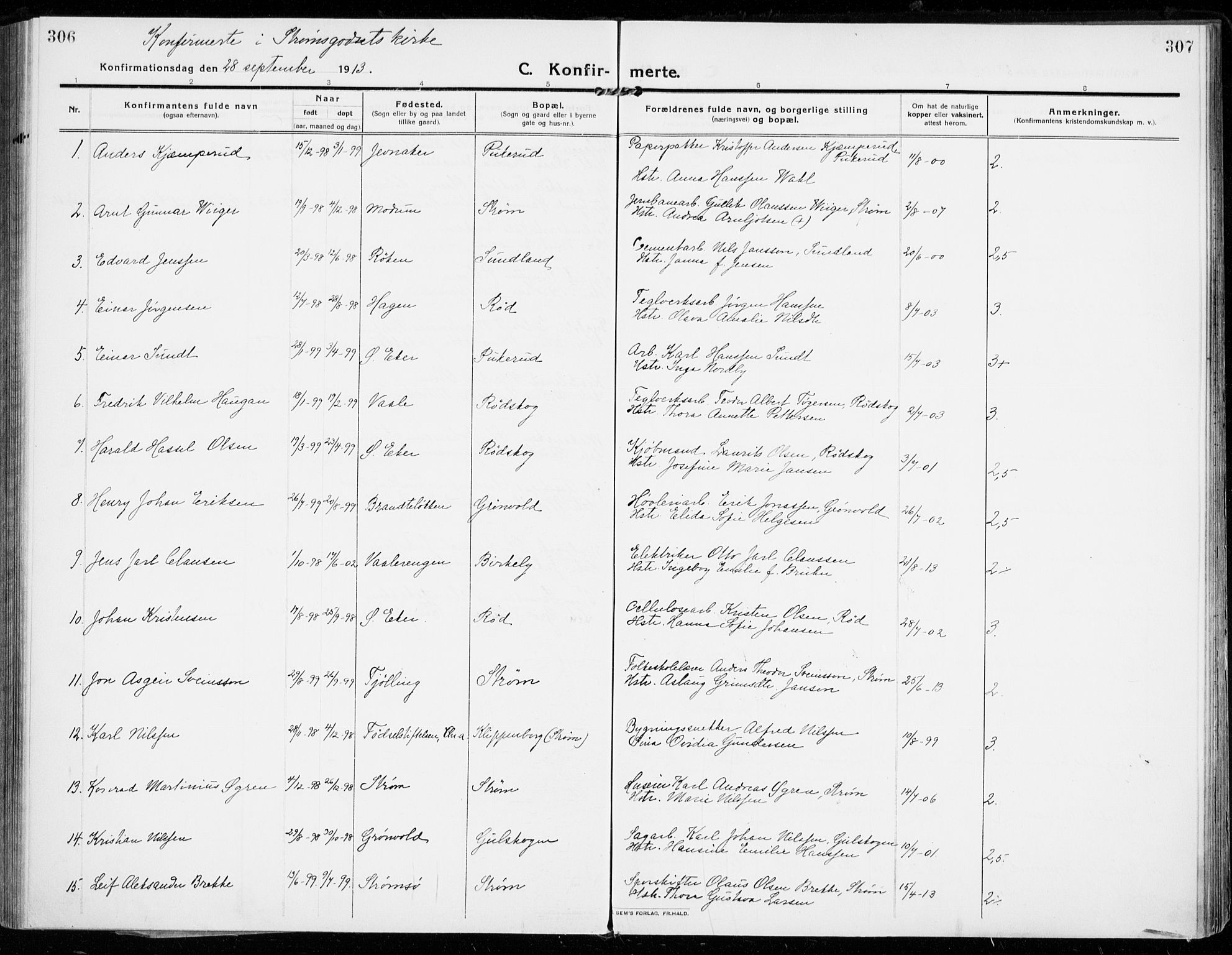 Strømsgodset kirkebøker, SAKO/A-324/F/Fa/L0002: Parish register (official) no. 2, 1910-1920, p. 306-307