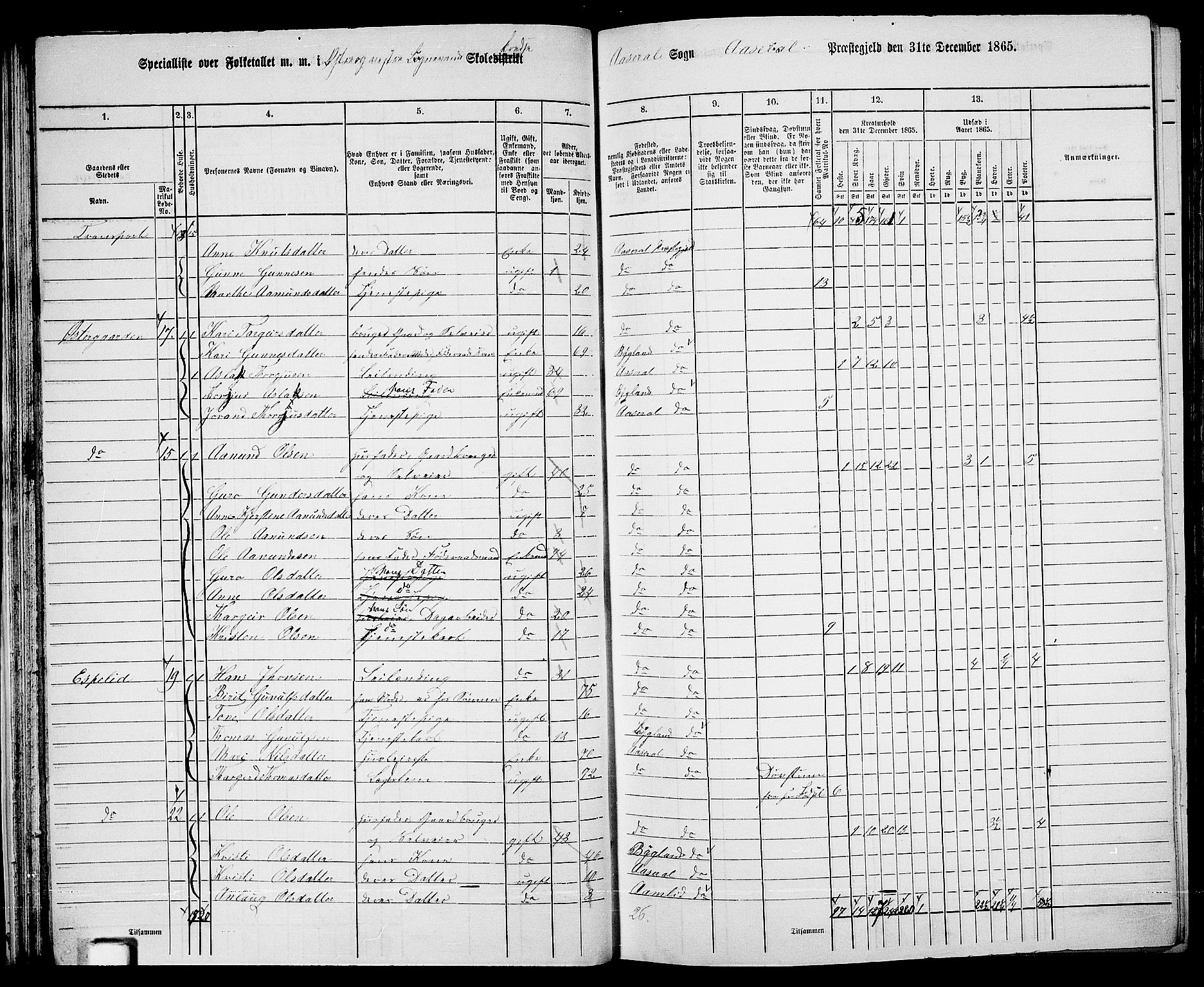 RA, 1865 census for Åseral, 1865, p. 38