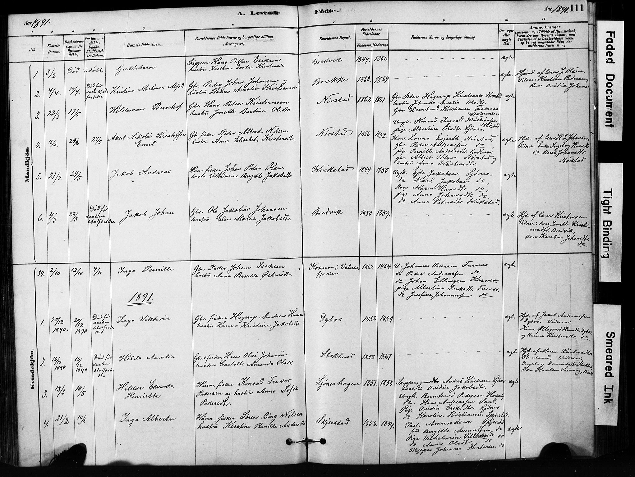 Ministerialprotokoller, klokkerbøker og fødselsregistre - Nordland, AV/SAT-A-1459/852/L0754: Parish register (copy) no. 852C05, 1878-1894, p. 111