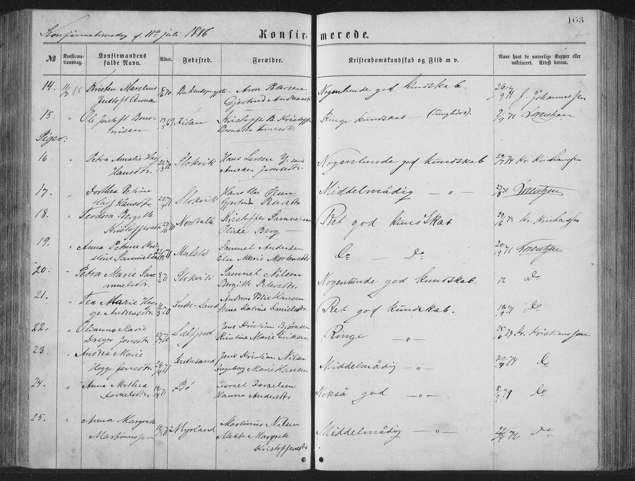 Ministerialprotokoller, klokkerbøker og fødselsregistre - Nordland, AV/SAT-A-1459/885/L1213: Parish register (copy) no. 885C02, 1874-1892, p. 163