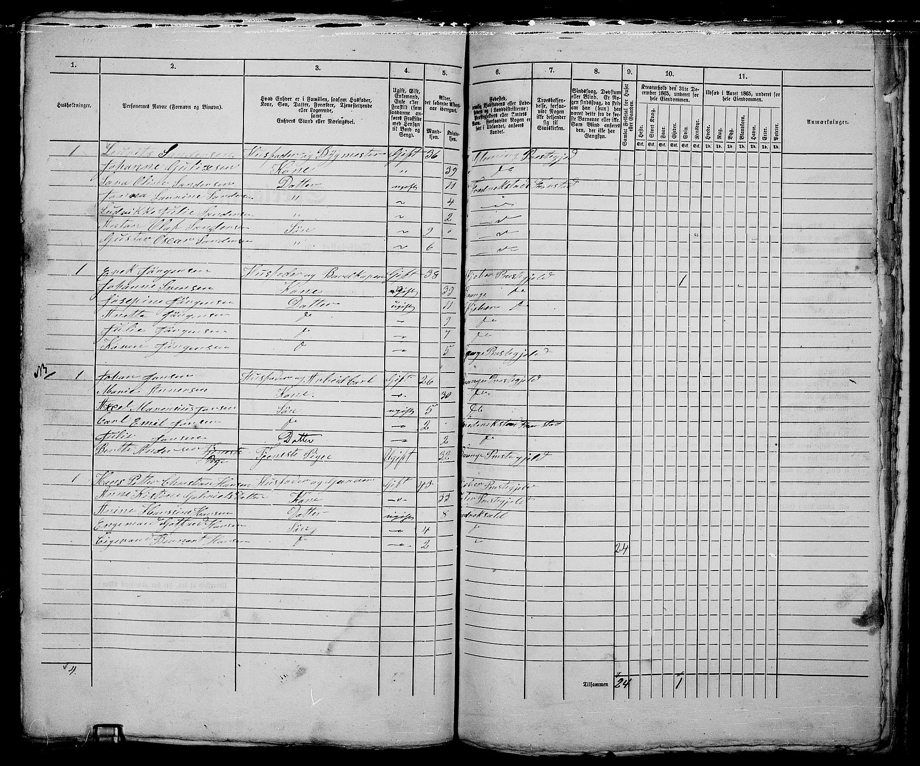 RA, 1865 census for Fredrikstad/Fredrikstad, 1865, p. 263