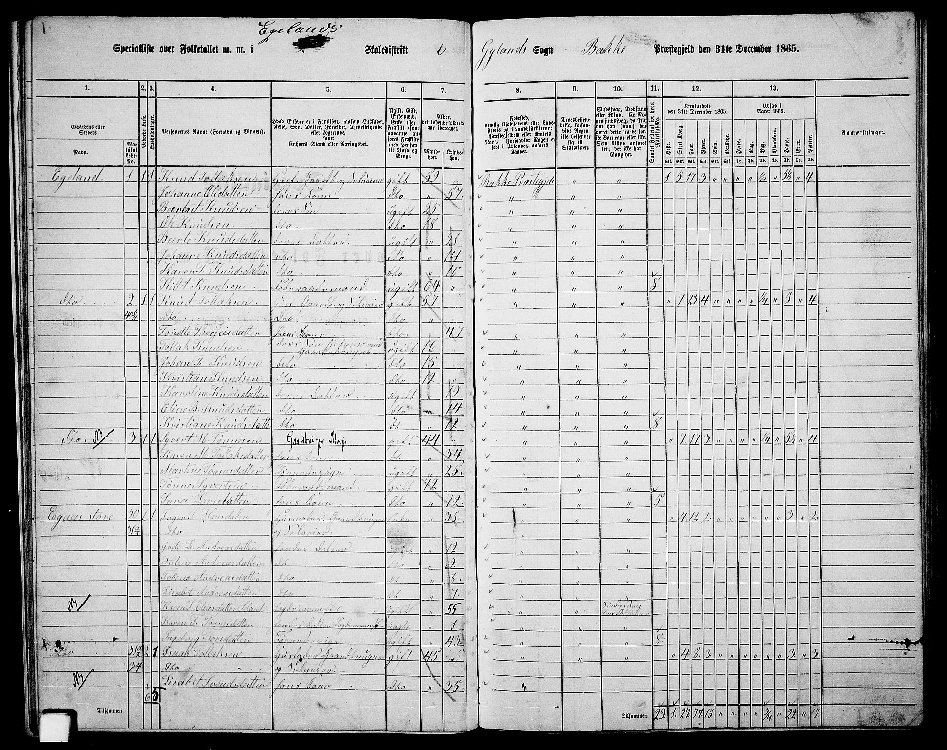 RA, 1865 census for Bakke, 1865, p. 22