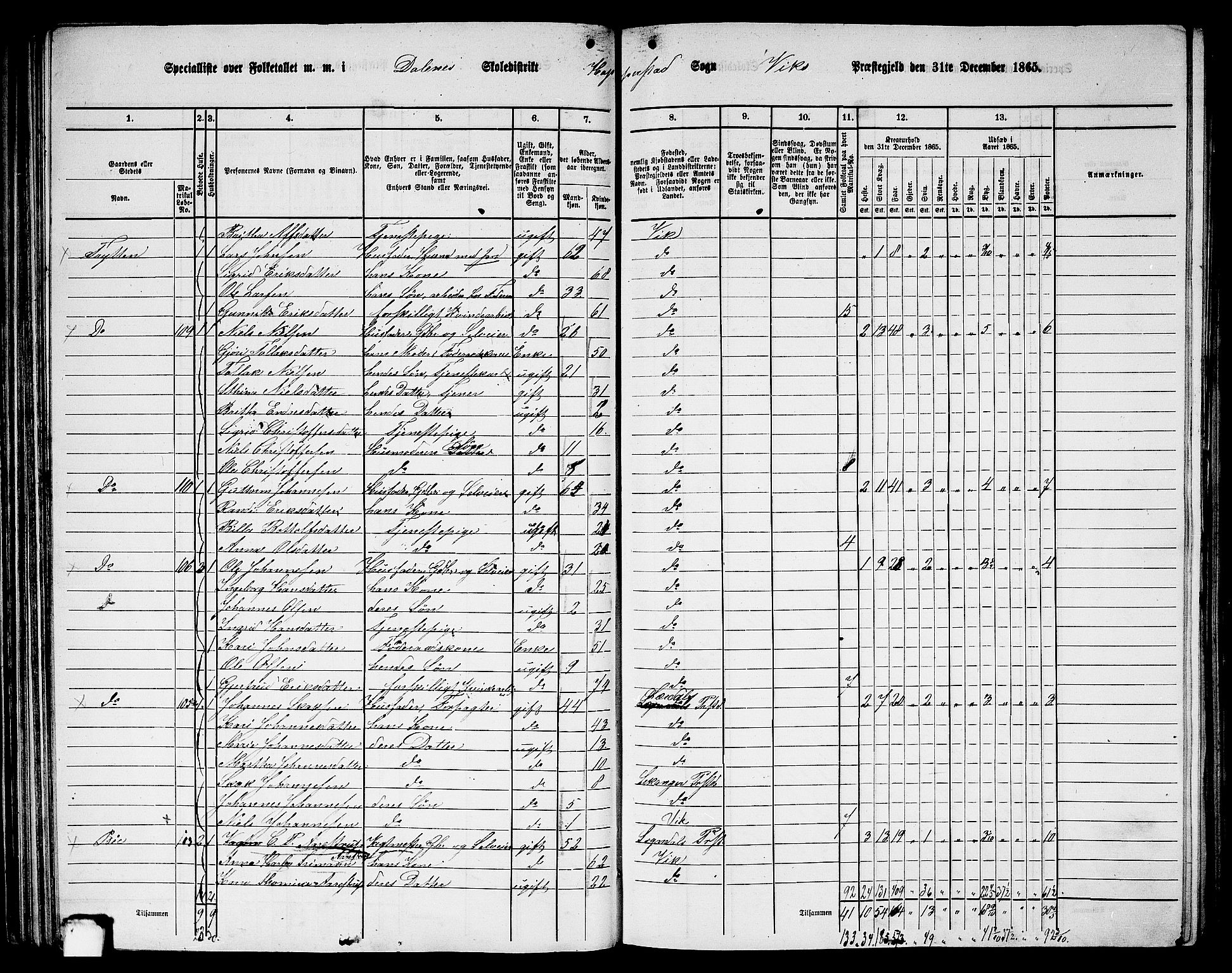 RA, 1865 census for Vik, 1865, p. 74