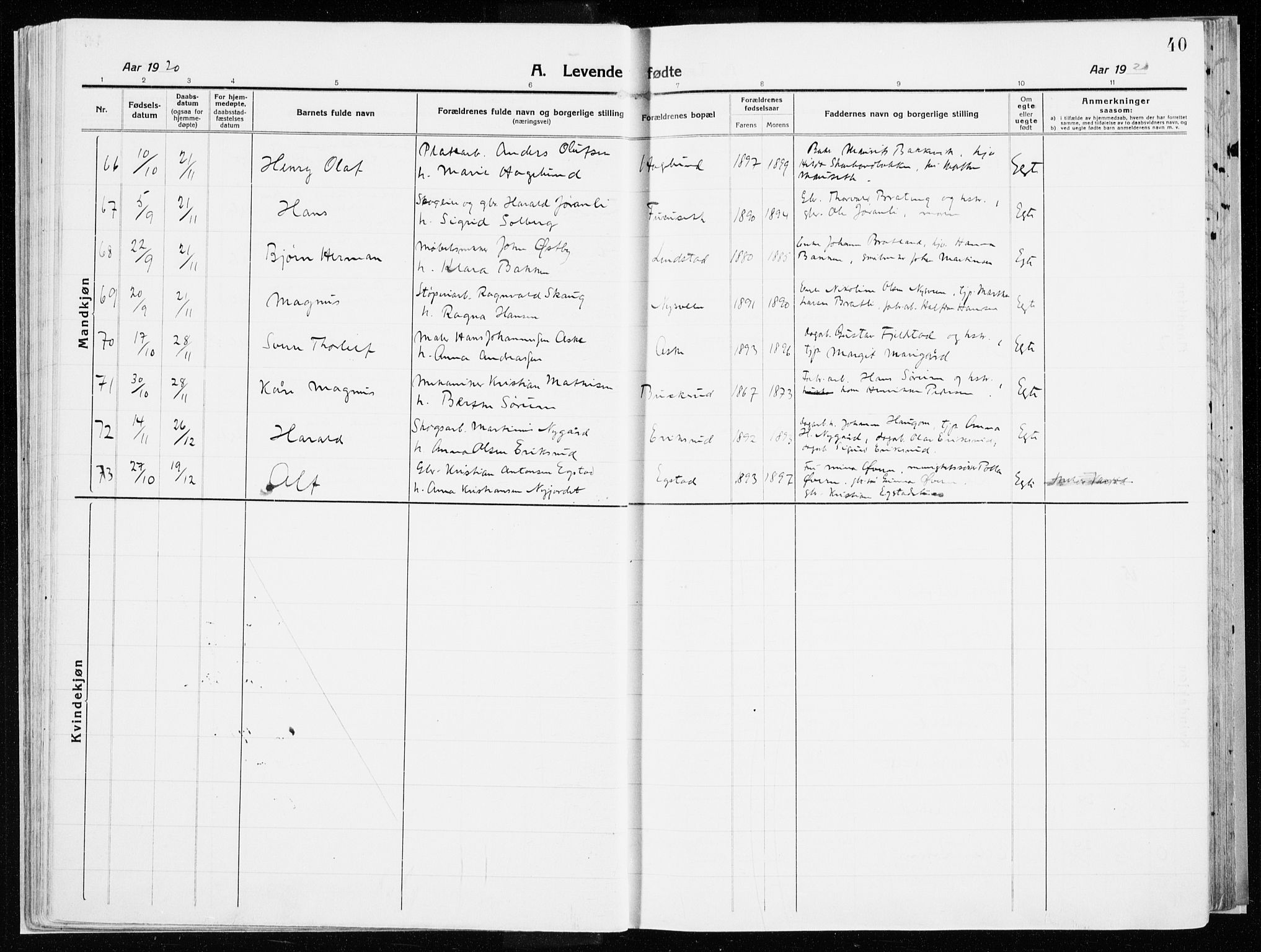 Vardal prestekontor, AV/SAH-PREST-100/H/Ha/Haa/L0017: Parish register (official) no. 17, 1915-1929, p. 40