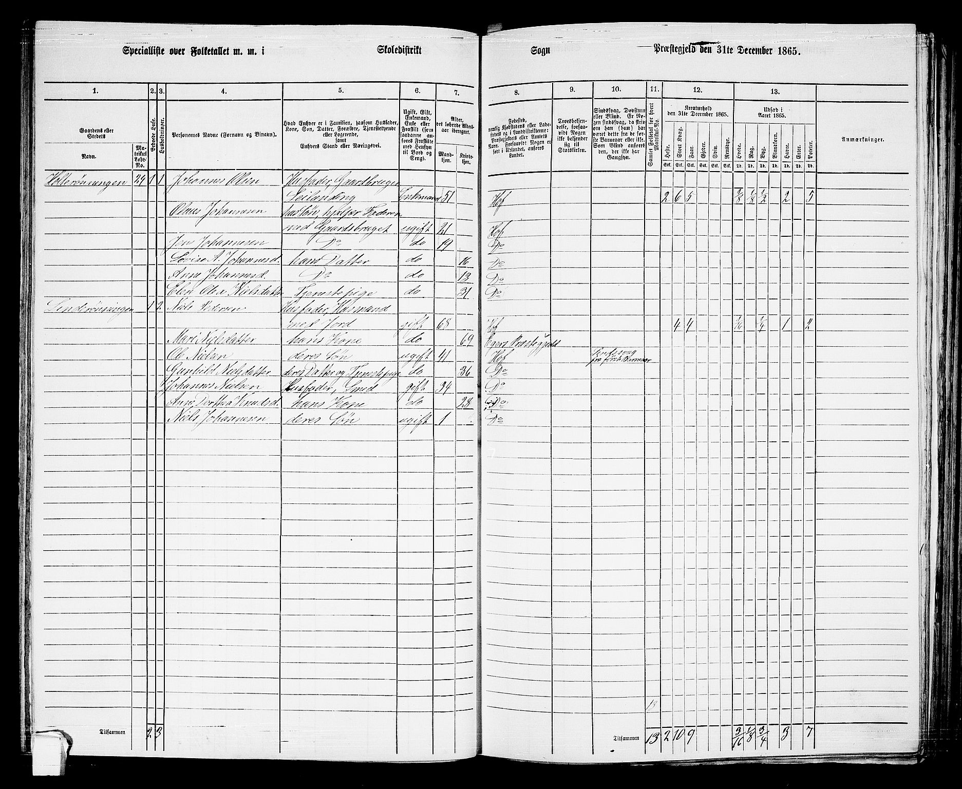 RA, 1865 census for Hof, 1865, p. 96