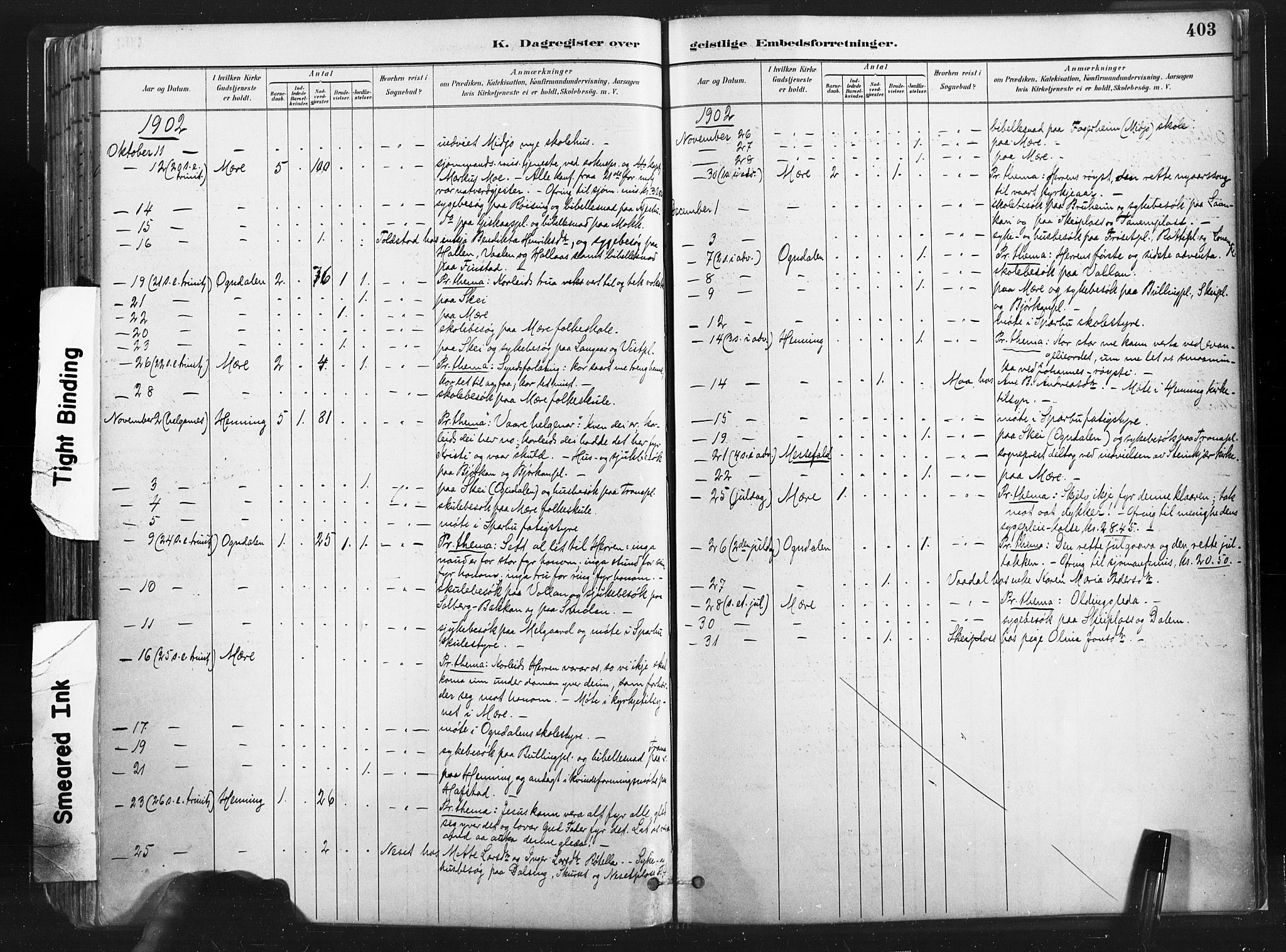 Ministerialprotokoller, klokkerbøker og fødselsregistre - Nord-Trøndelag, AV/SAT-A-1458/735/L0351: Parish register (official) no. 735A10, 1884-1908, p. 403