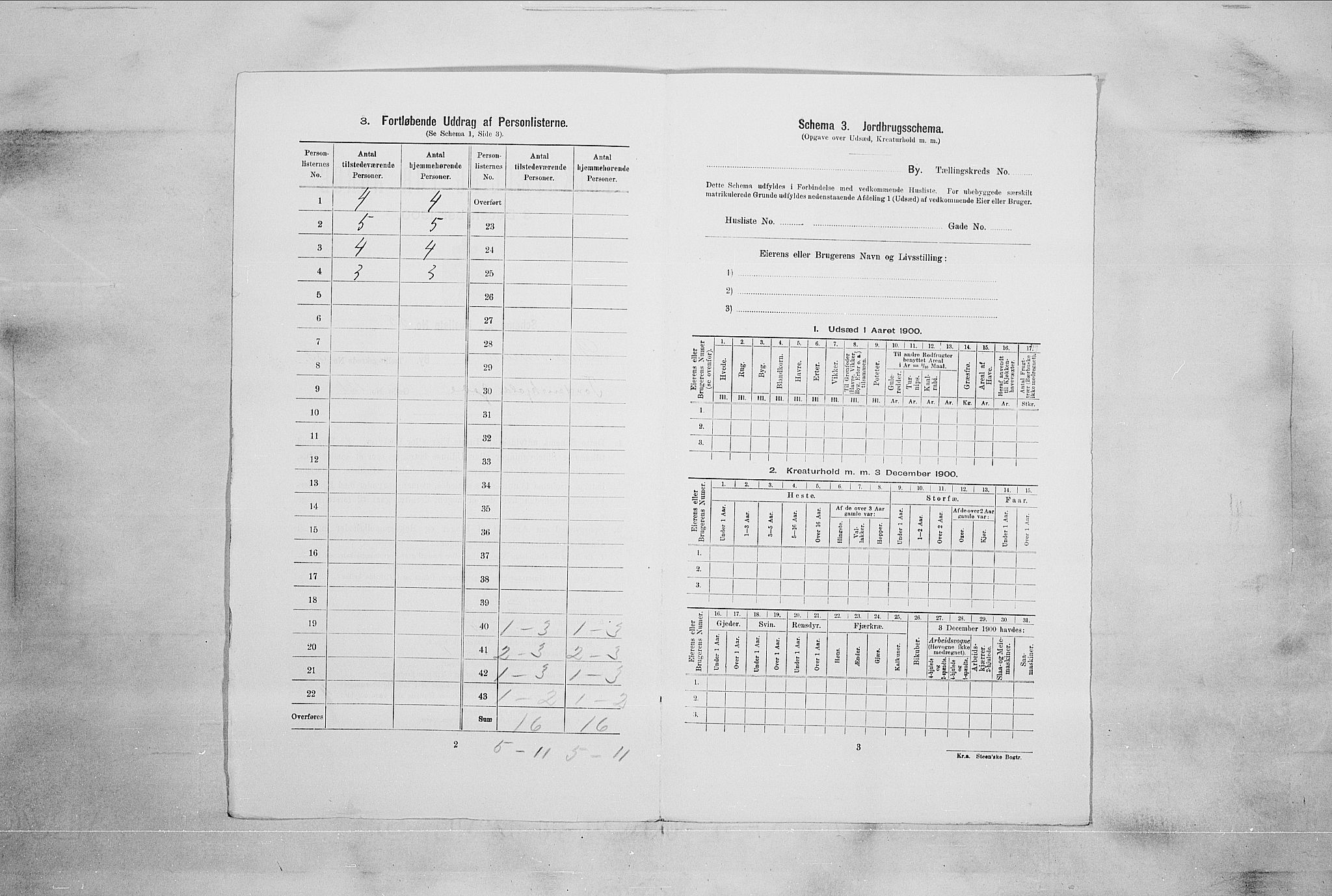 RA, 1900 census for Drammen, 1900, p. 13909
