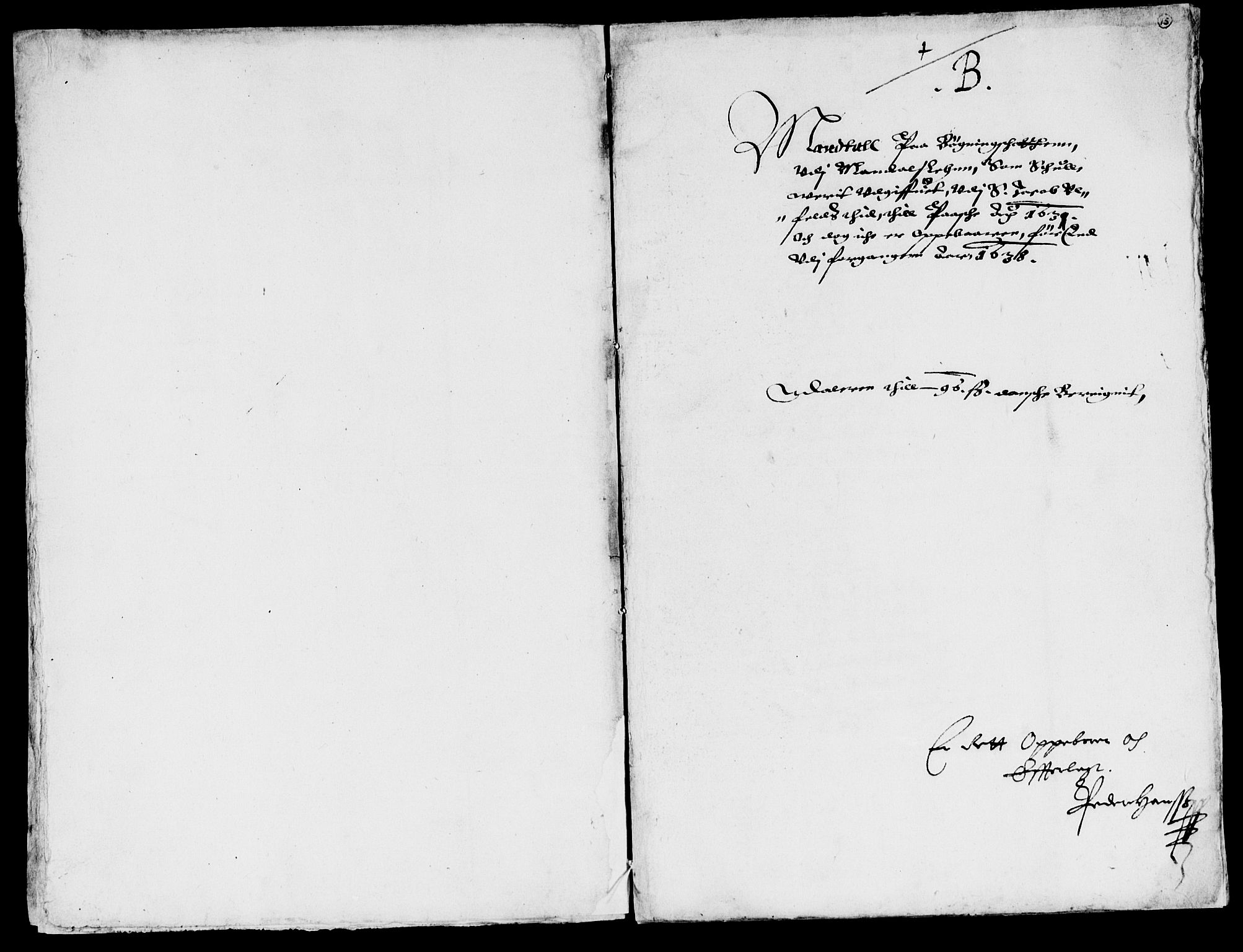 Rentekammeret inntil 1814, Reviderte regnskaper, Lensregnskaper, AV/RA-EA-5023/R/Rb/Rbq/L0020: Nedenes len. Mandals len. Råbyggelag., 1630-1631