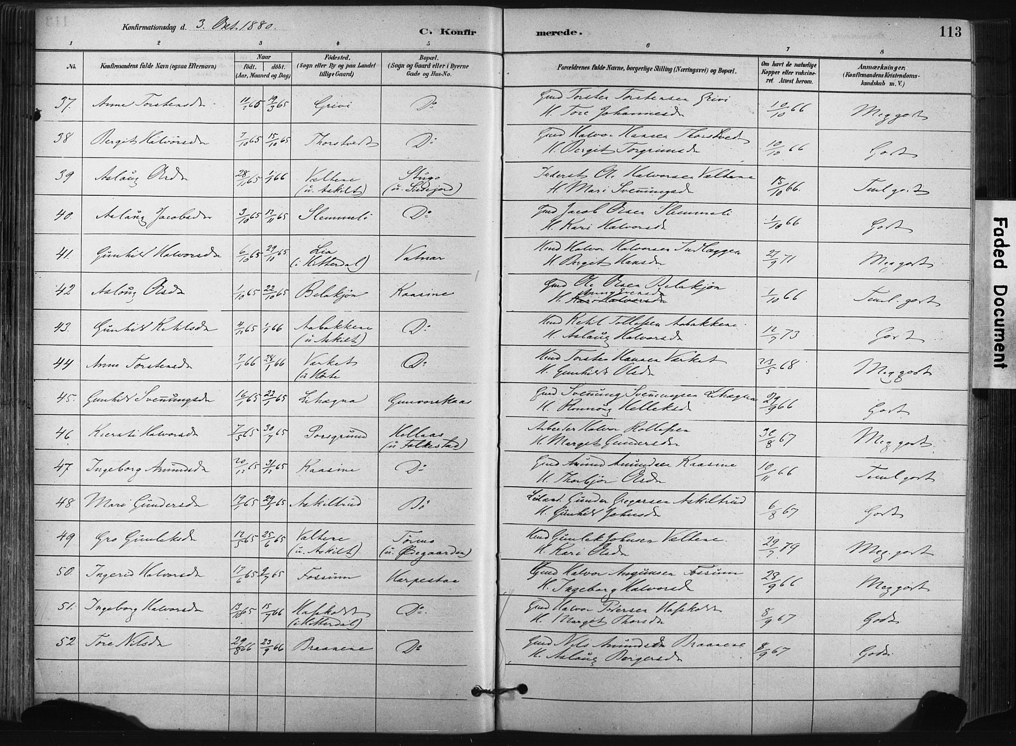 Bø kirkebøker, SAKO/A-257/F/Fa/L0010: Parish register (official) no. 10, 1880-1892, p. 113