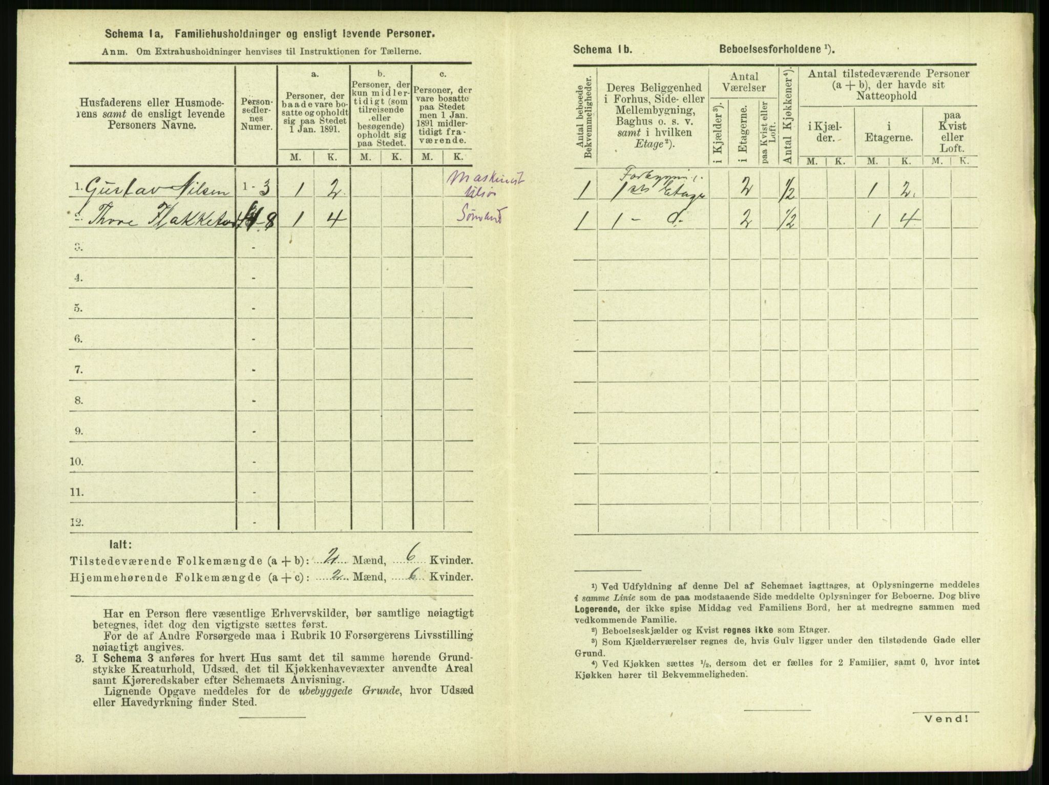 RA, 1891 census for 1106 Haugesund, 1891, p. 1003