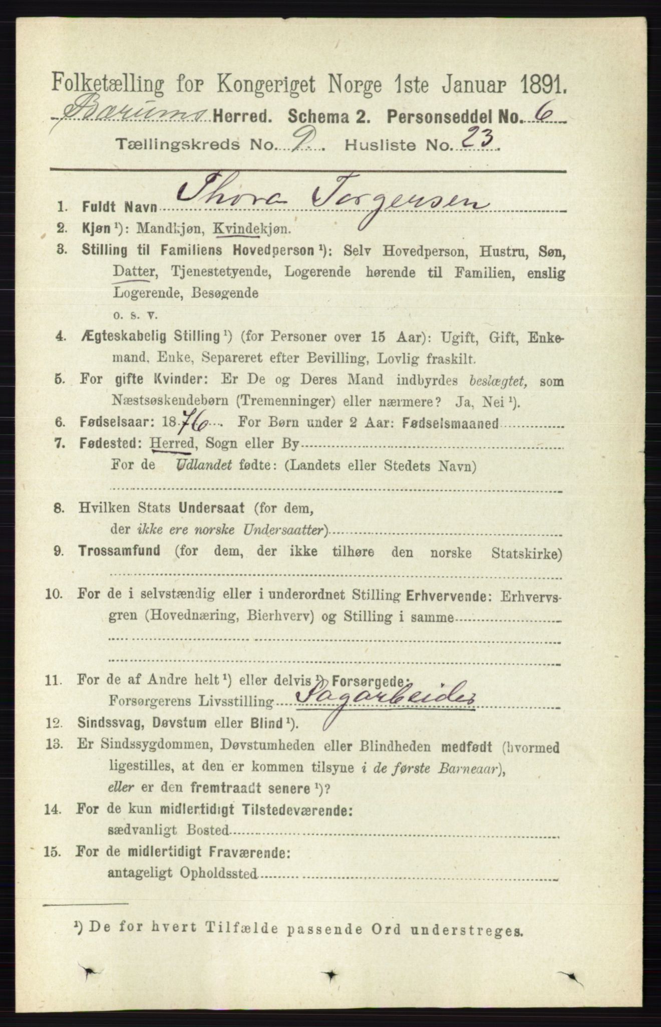 RA, 1891 census for 0219 Bærum, 1891, p. 5349