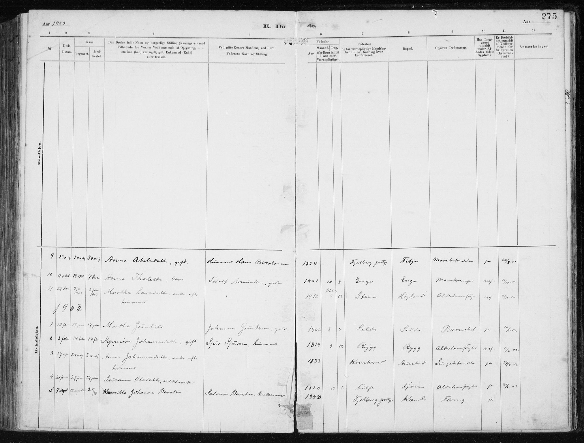 Etne sokneprestembete, AV/SAB-A-75001/H/Haa: Parish register (official) no. B  1, 1879-1919, p. 275