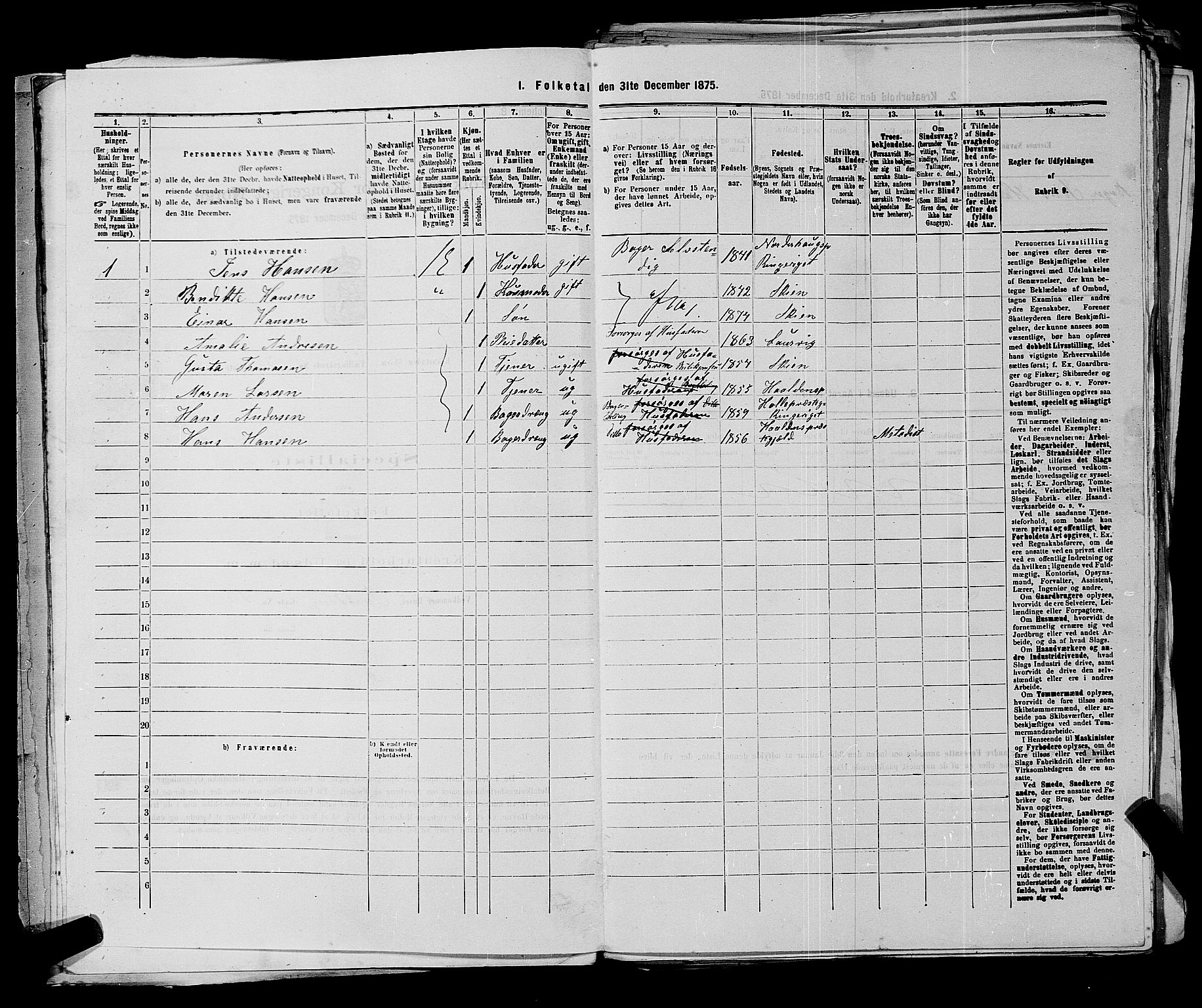 SAKO, 1875 census for 0806P Skien, 1875, p. 1046