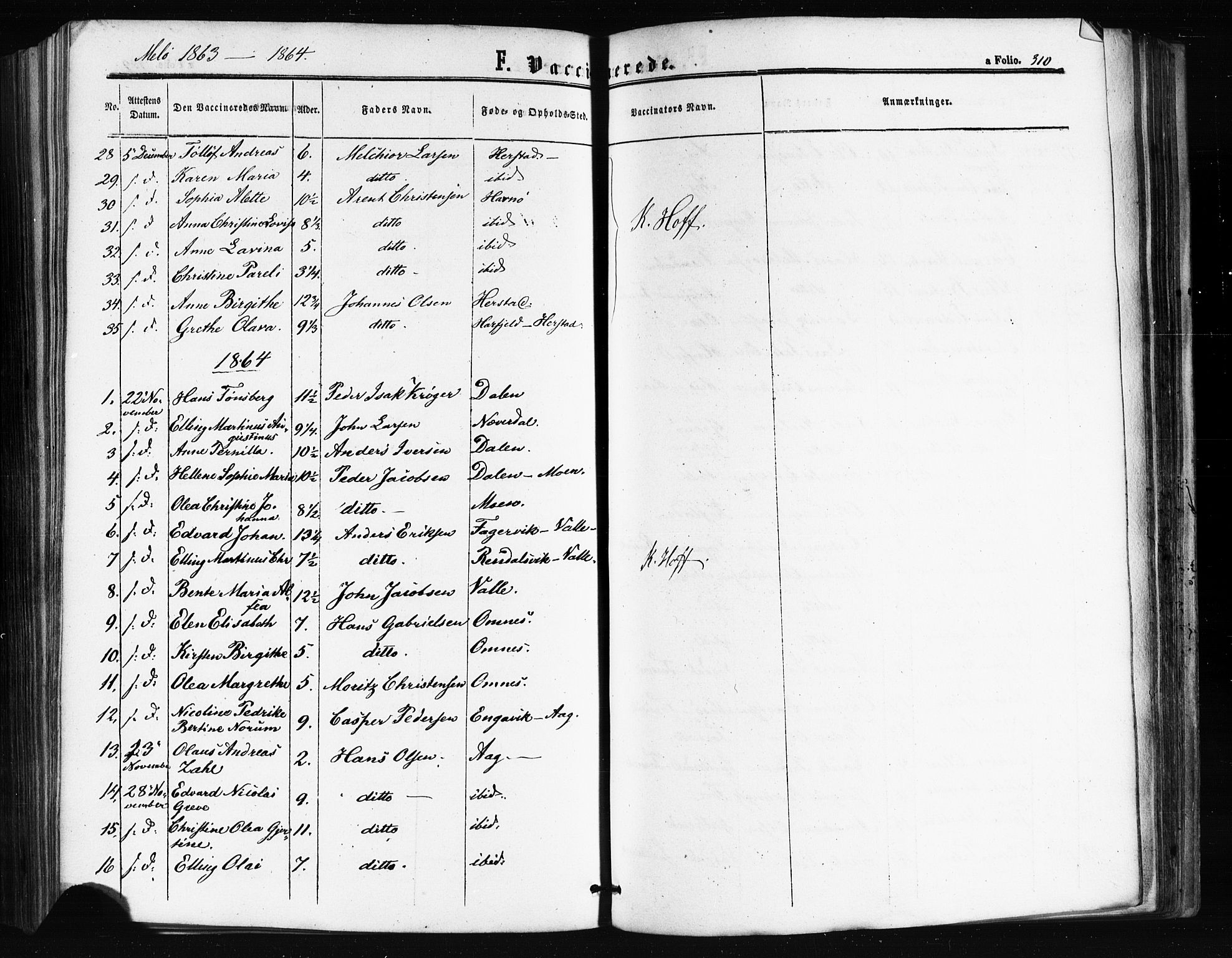 Ministerialprotokoller, klokkerbøker og fødselsregistre - Nordland, SAT/A-1459/841/L0607: Parish register (official) no. 841A11 /2, 1863-1877, p. 310