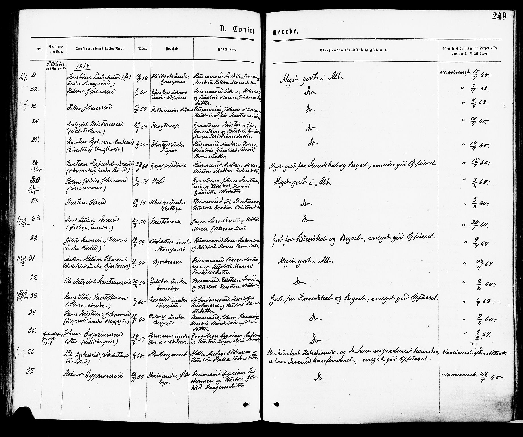 Høland prestekontor Kirkebøker, AV/SAO-A-10346a/F/Fa/L0012.a: Parish register (official) no. I 12A, 1869-1879, p. 249