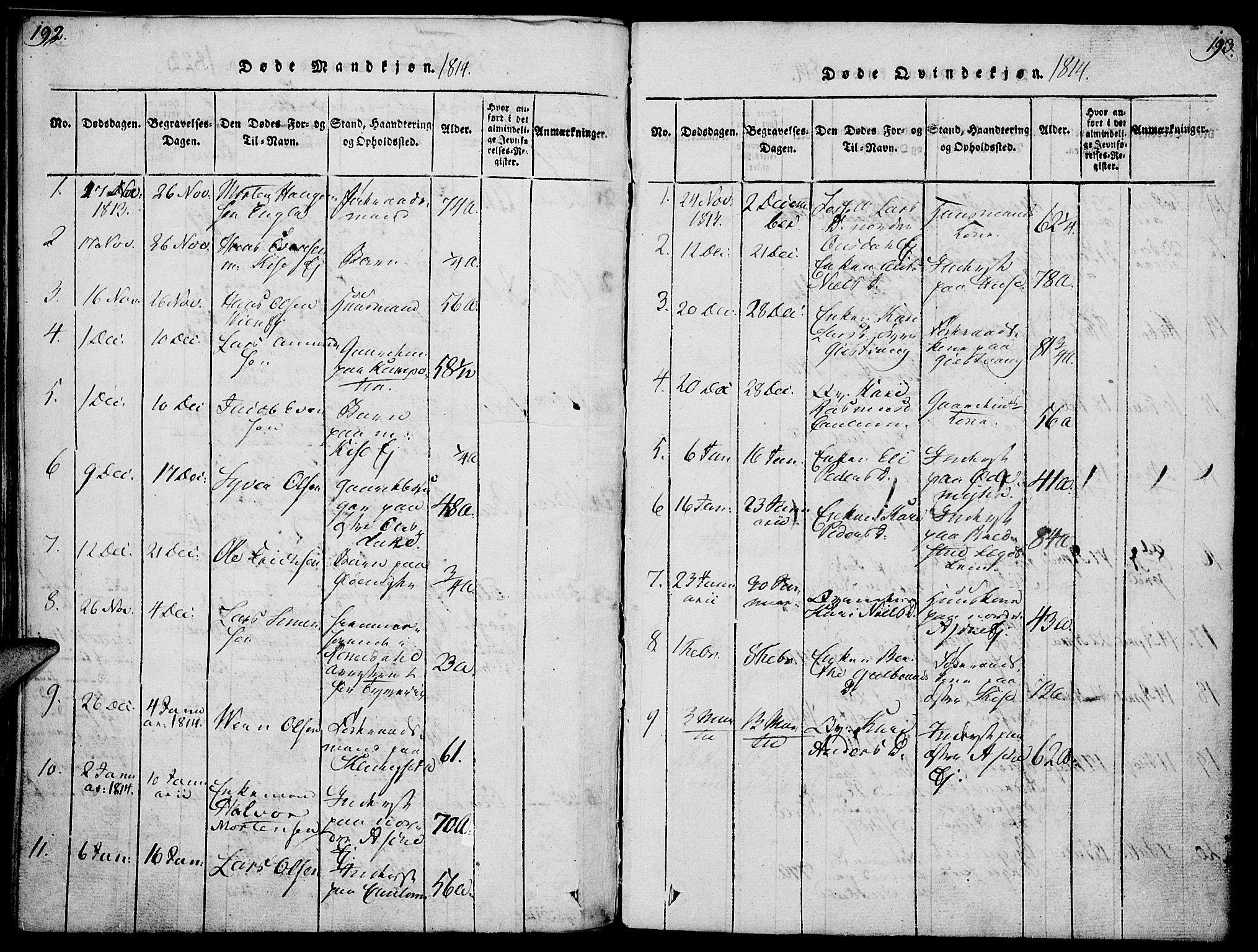 Nes prestekontor, Hedmark, SAH/PREST-020/K/Ka/L0002: Parish register (official) no. 2, 1813-1827, p. 192-193