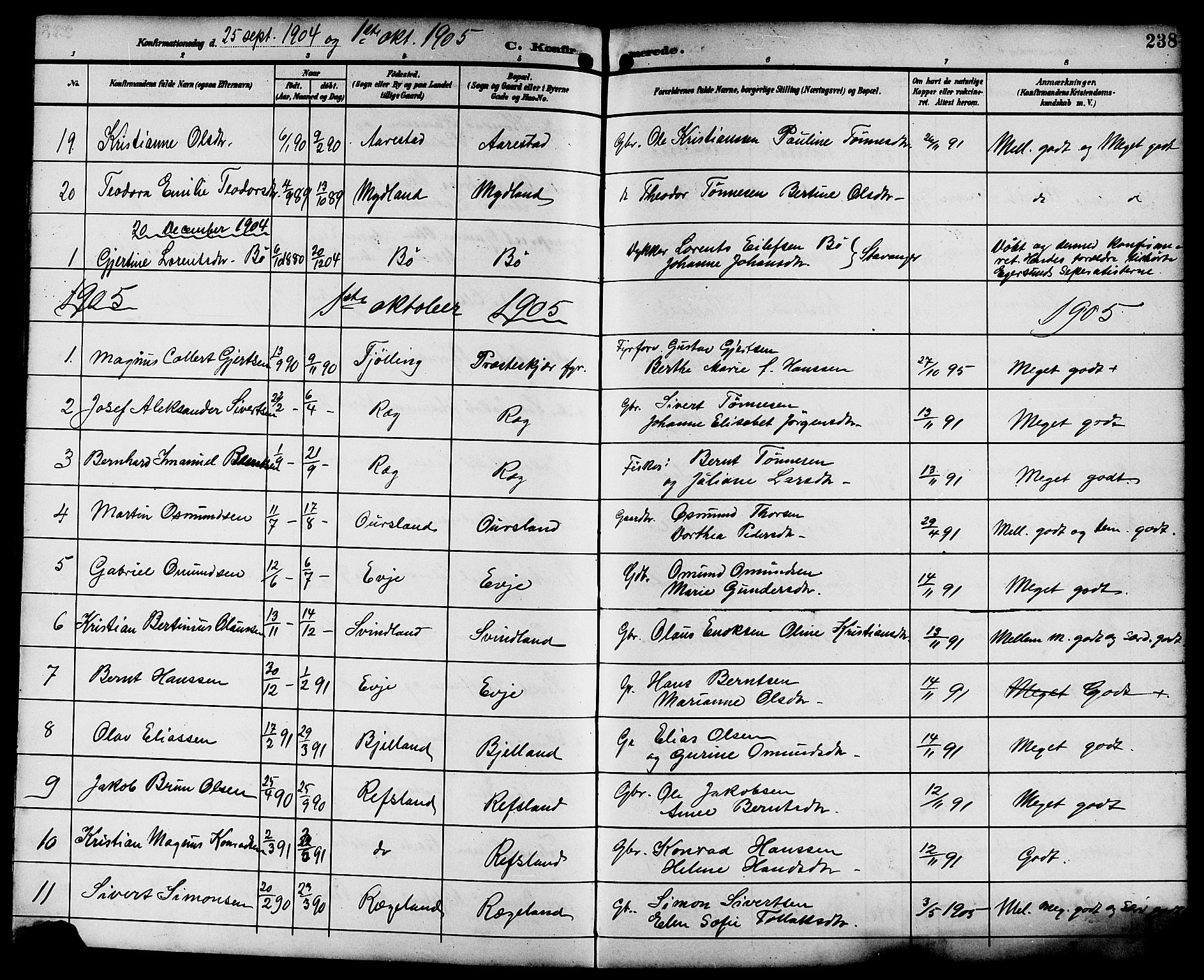 Sokndal sokneprestkontor, SAST/A-101808: Parish register (copy) no. B 6, 1892-1907, p. 238