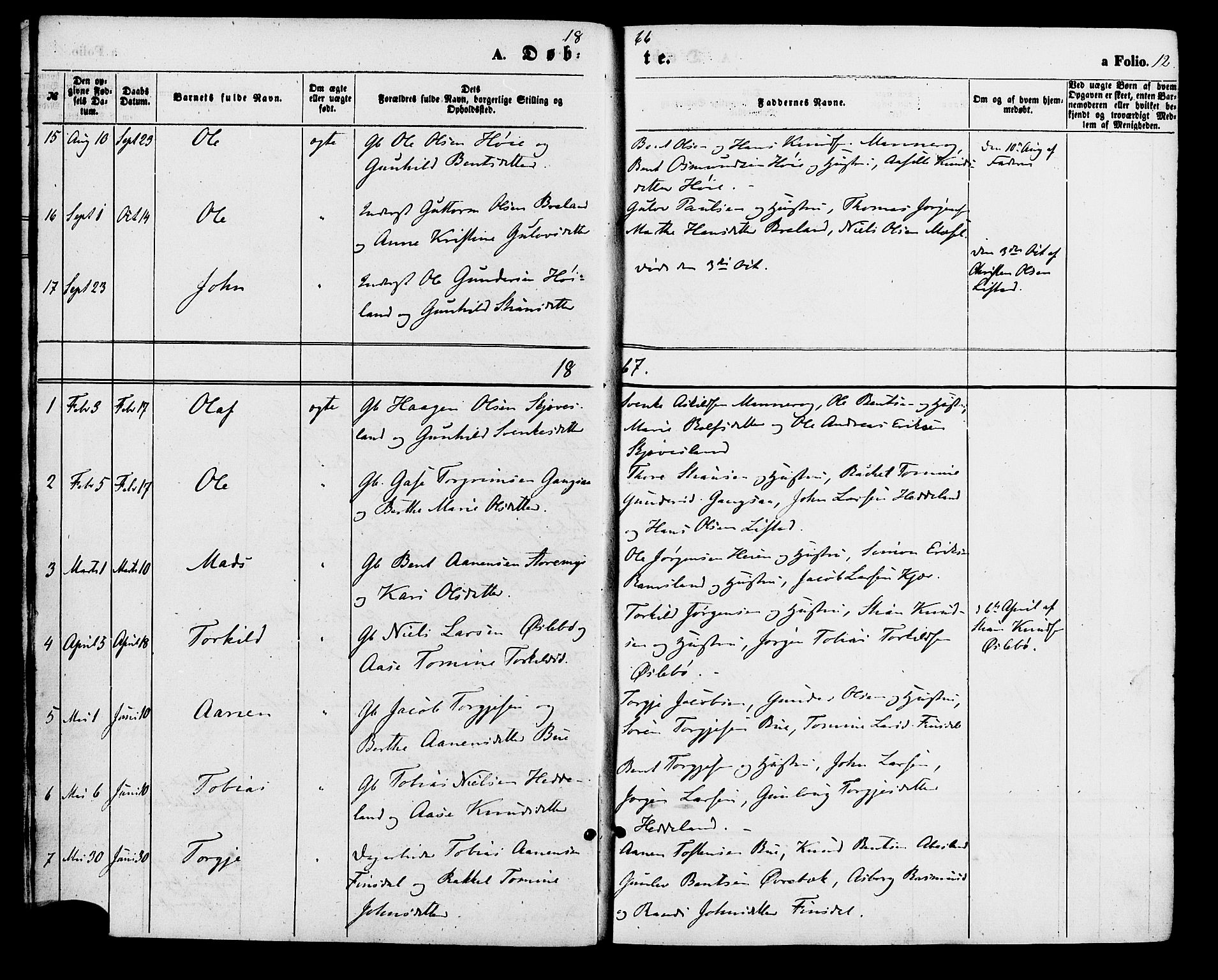 Holum sokneprestkontor, AV/SAK-1111-0022/F/Fa/Fac/L0003: Parish register (official) no. A 3, 1860-1883, p. 12