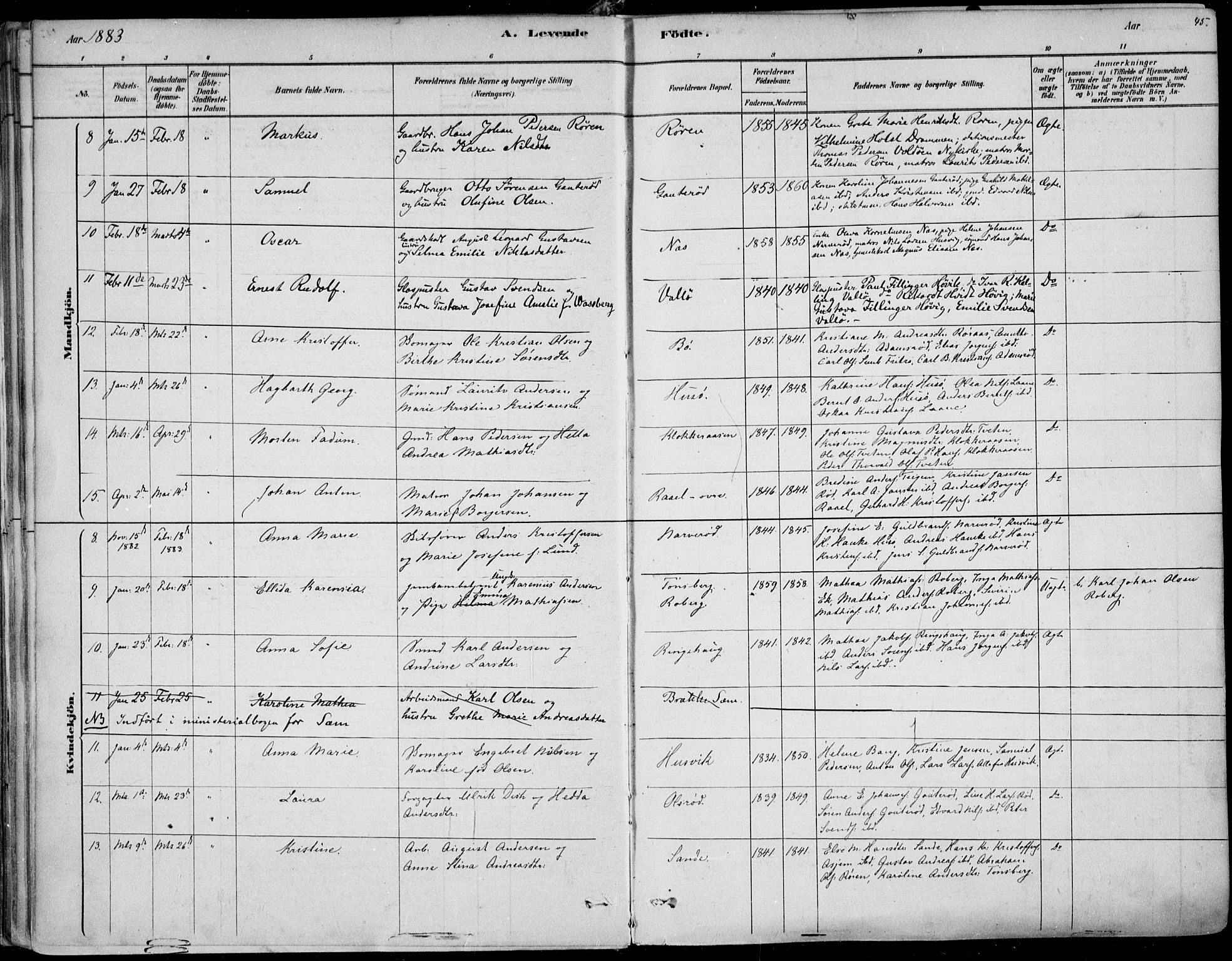 Sem kirkebøker, AV/SAKO-A-5/F/Fb/L0004: Parish register (official) no. II 4, 1878-1891, p. 45