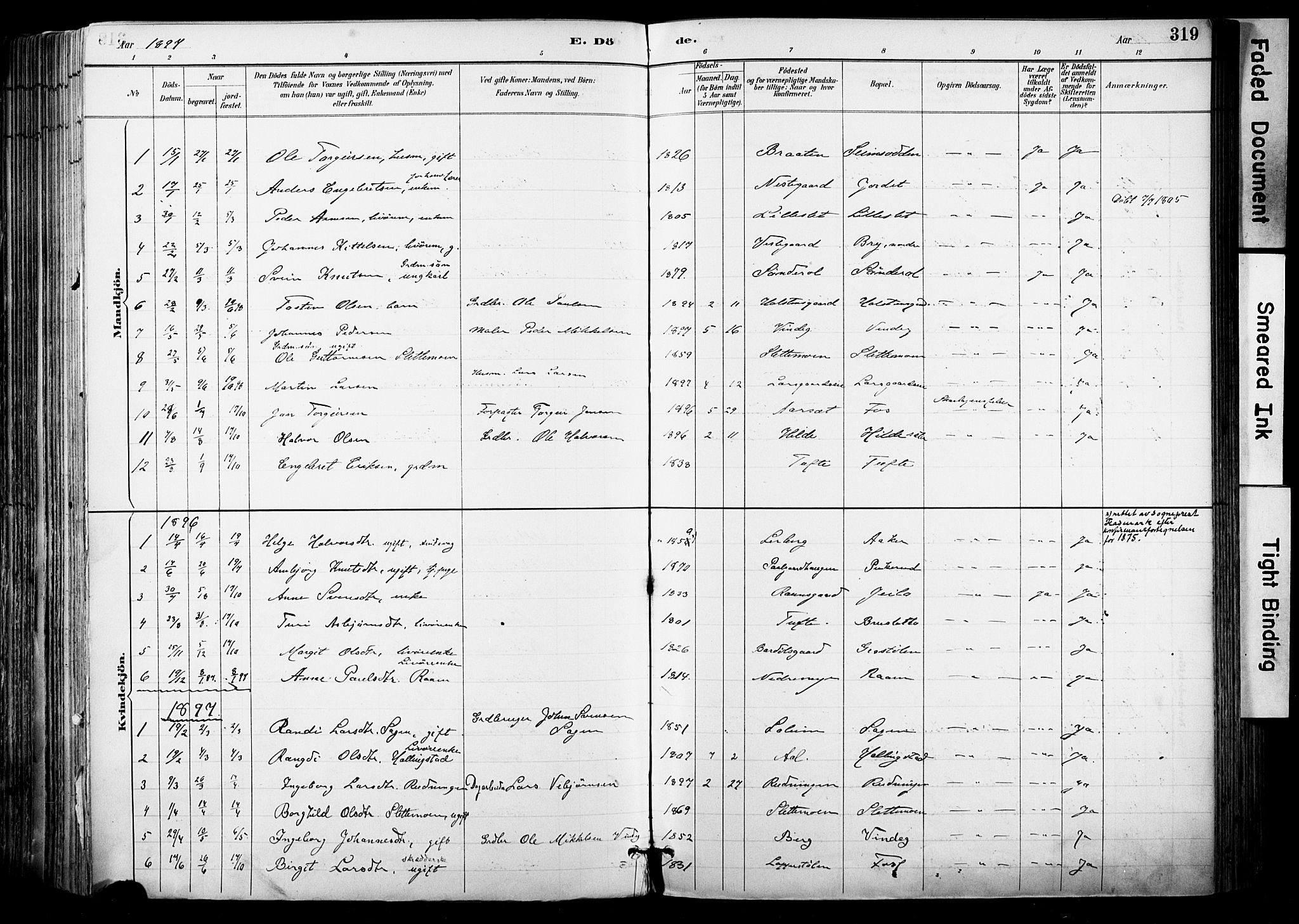 Hol kirkebøker, AV/SAKO-A-227/F/Fa/L0003: Parish register (official) no. I 3, 1887-1918, p. 319