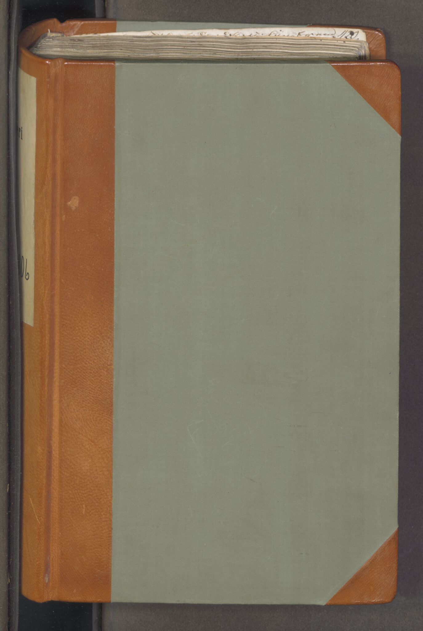 Bamble sorenskriveri, AV/SAKO-A-214/F/Fa/Faa/L0026: Tingbok, 1802-1806