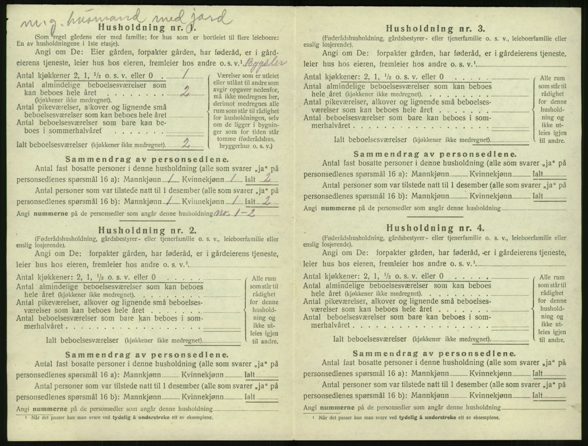 SAT, 1920 census for Sunnylven, 1920, p. 251