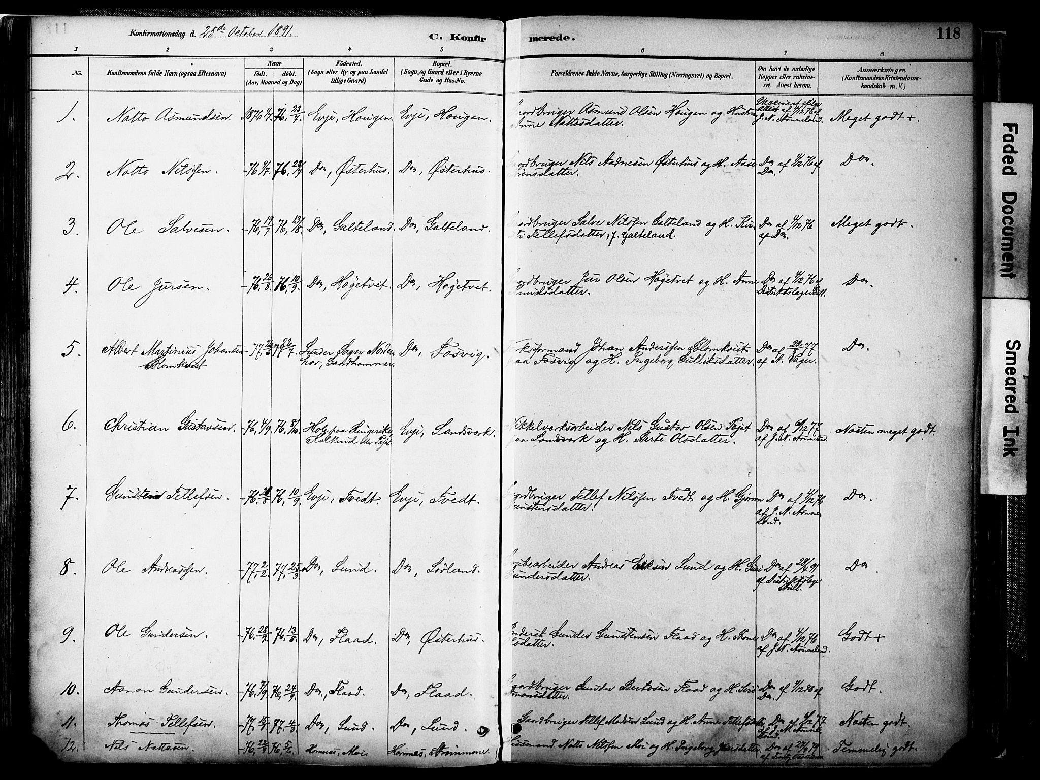 Evje sokneprestkontor, AV/SAK-1111-0008/F/Fa/Faa/L0007: Parish register (official) no. A 7, 1884-1909, p. 118