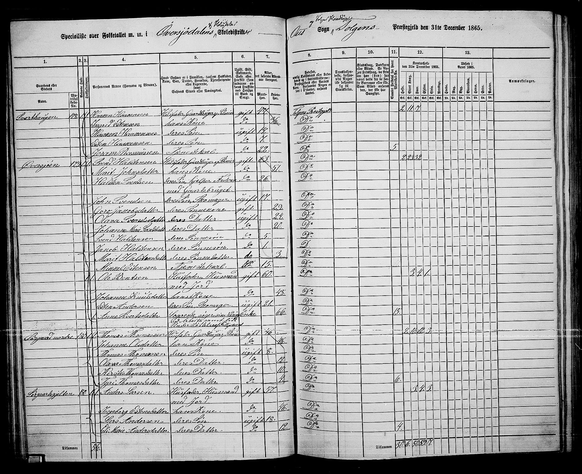 RA, 1865 census for Tolga, 1865, p. 83