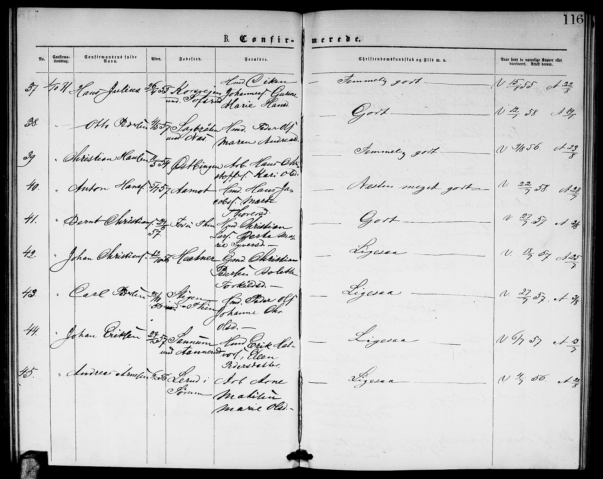 Fet prestekontor Kirkebøker, AV/SAO-A-10370a/G/Ga/L0004: Parish register (copy) no. I 4, 1868-1874, p. 116