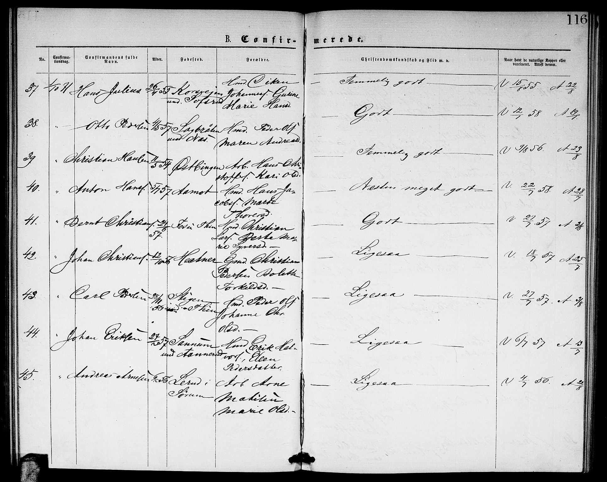 Fet prestekontor Kirkebøker, AV/SAO-A-10370a/G/Ga/L0004: Parish register (copy) no. I 4, 1868-1874, p. 116