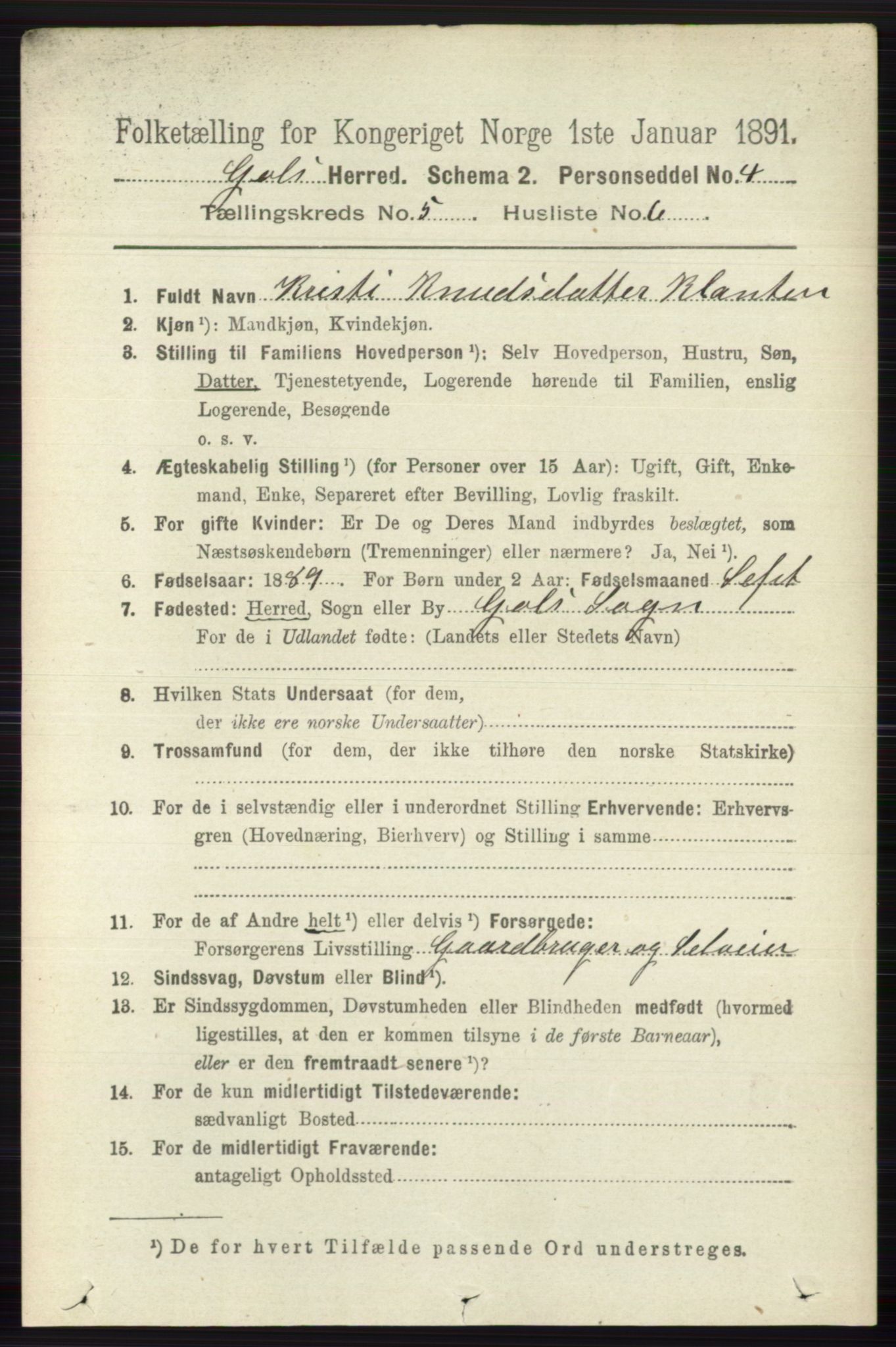 RA, 1891 census for 0617 Gol og Hemsedal, 1891, p. 2337