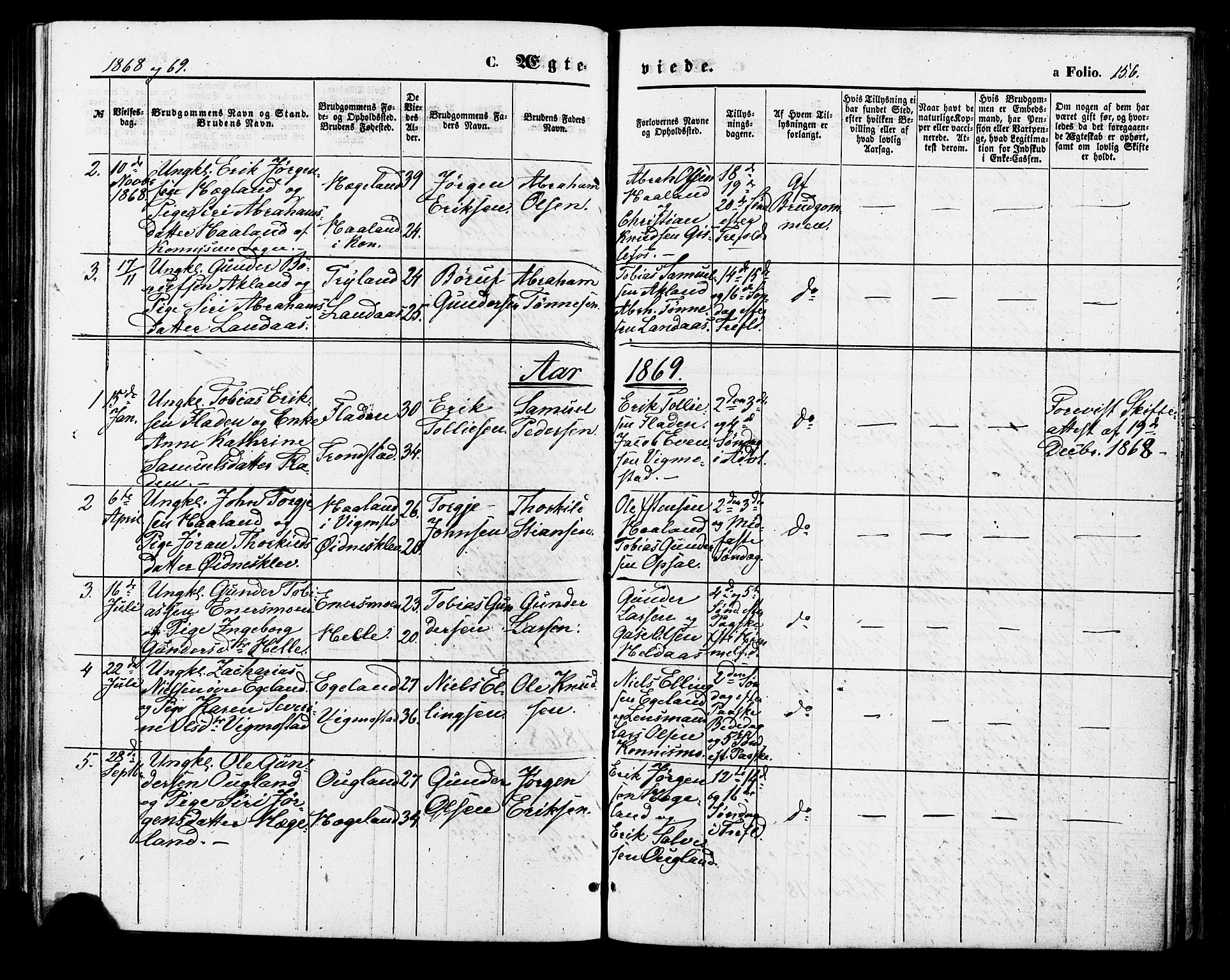 Nord-Audnedal sokneprestkontor, SAK/1111-0032/F/Fa/Fab/L0002: Parish register (official) no. A 2, 1859-1882, p. 156