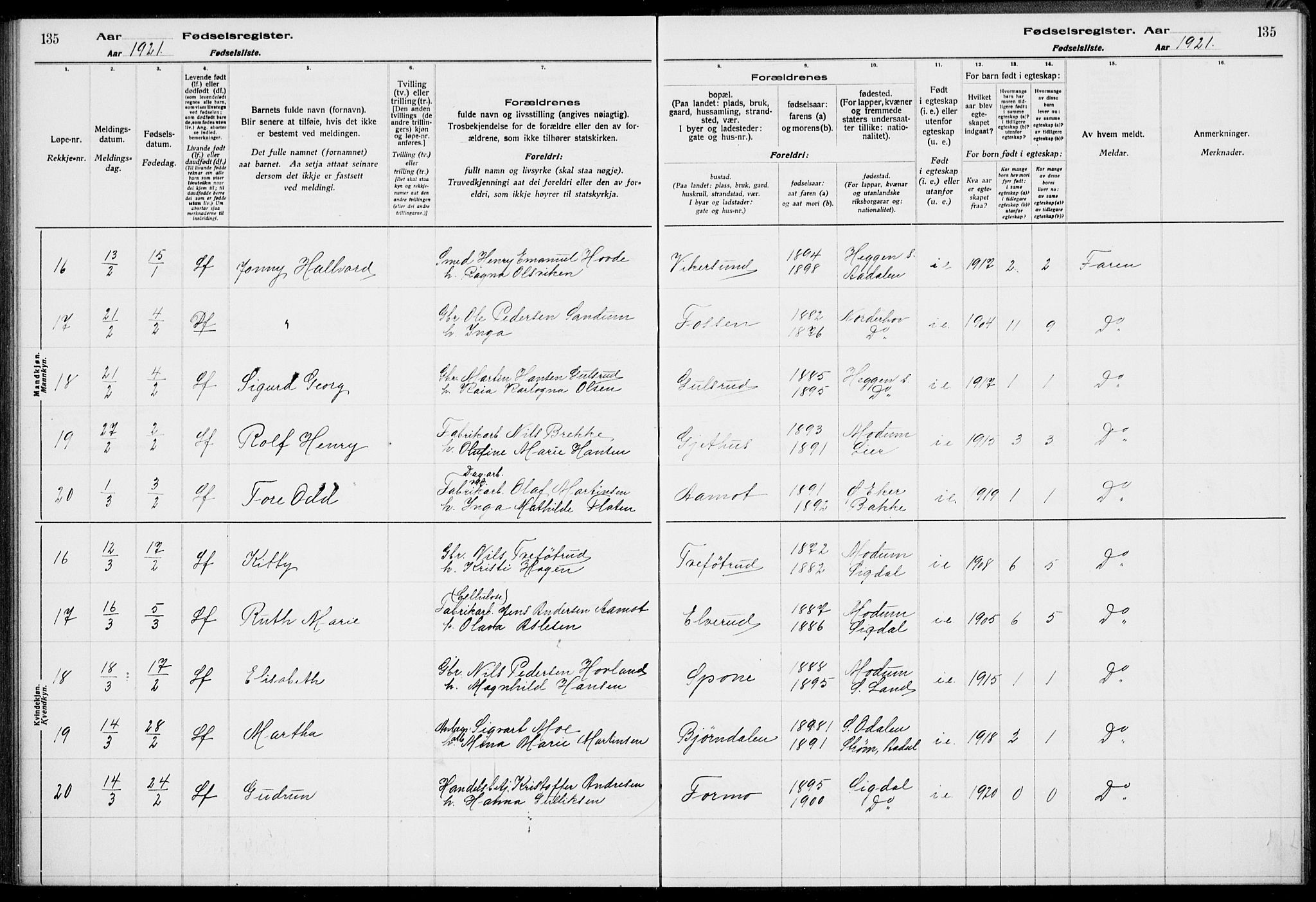 Modum kirkebøker, AV/SAKO-A-234/J/Ja/L0001: Birth register no. I 1, 1916-1923, p. 135