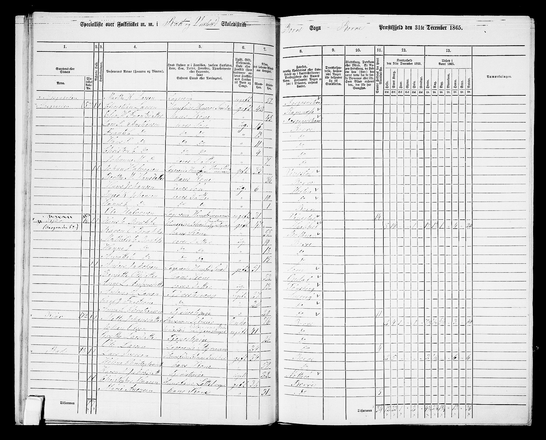 RA, 1865 census for Borre, 1865, p. 43