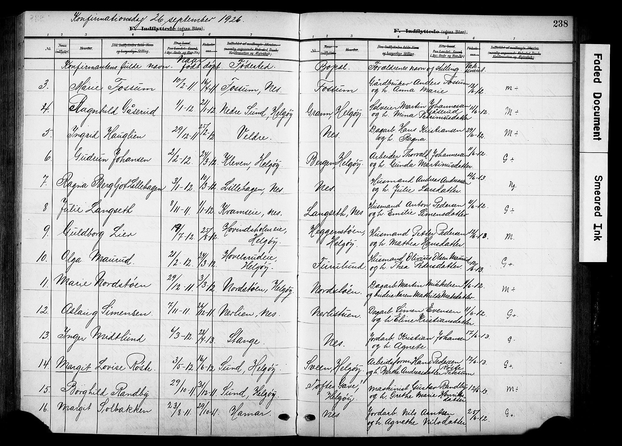Nes prestekontor, Hedmark, SAH/PREST-020/K/Ka/L0014: Parish register (official) no. 14, 1906-1929, p. 238