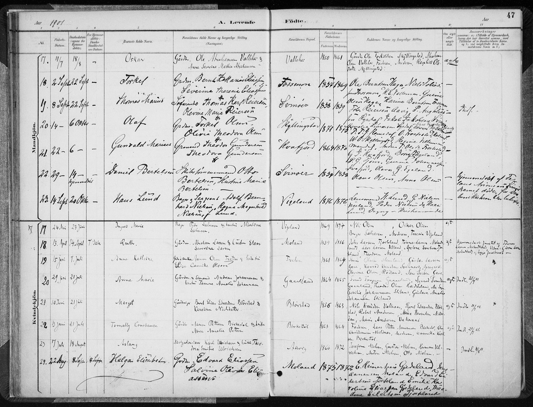 Sør-Audnedal sokneprestkontor, AV/SAK-1111-0039/F/Fa/Fab/L0010: Parish register (official) no. A 10, 1892-1913, p. 47