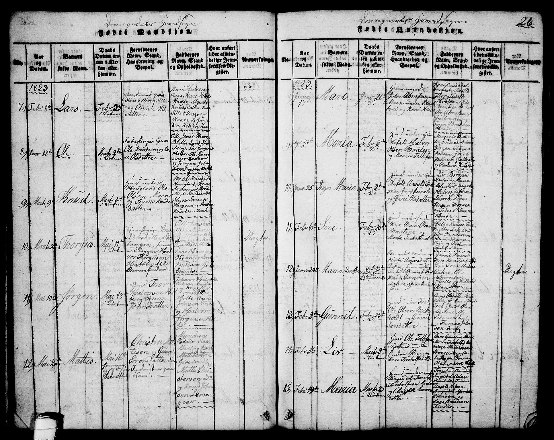 Drangedal kirkebøker, SAKO/A-258/G/Ga/L0001: Parish register (copy) no. I 1 /1, 1814-1856, p. 26