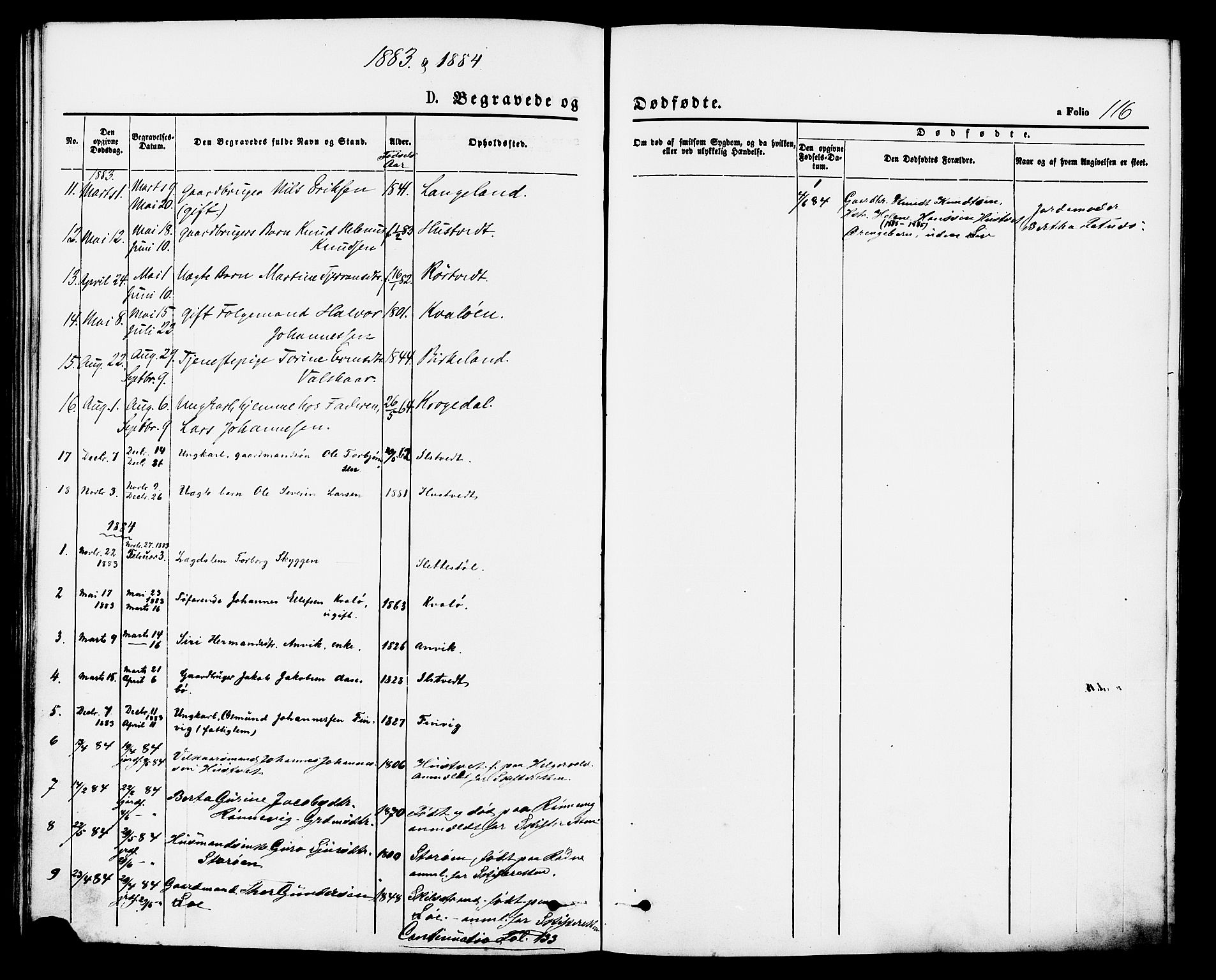 Vikedal sokneprestkontor, SAST/A-101840/01/IV: Parish register (official) no. A 9, 1868-1885, p. 116