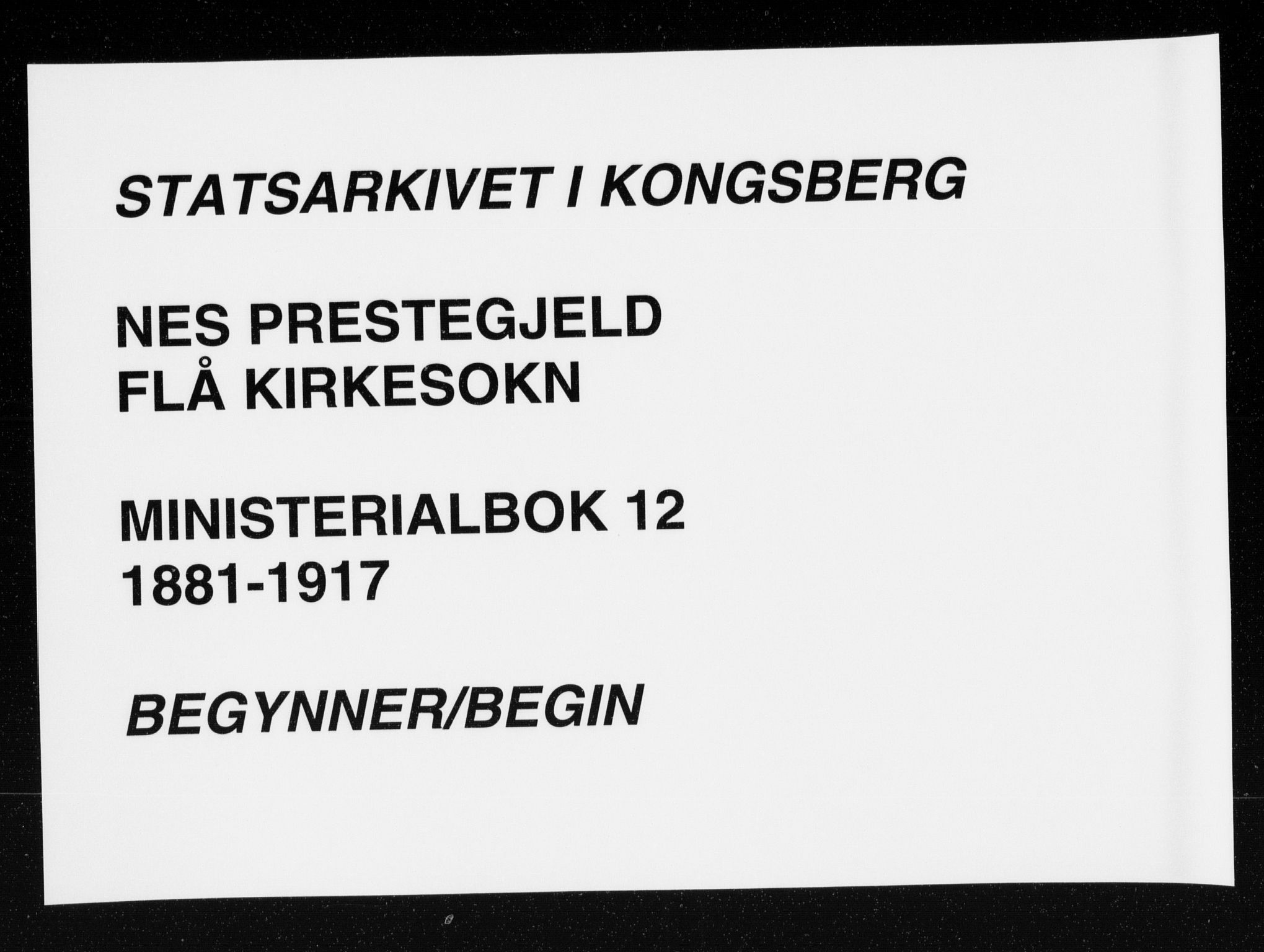 Nes kirkebøker, AV/SAKO-A-236/F/Fa/L0012: Parish register (official) no. 12, 1881-1917