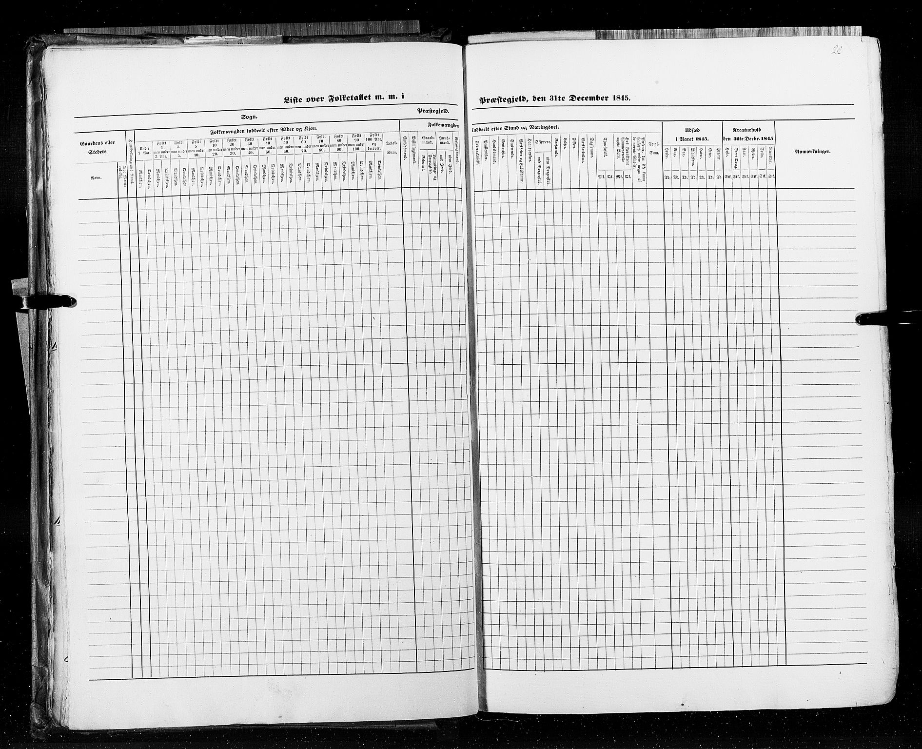 RA, Census 1845, vol. 5: Bratsberg amt og Nedenes og Råbyggelaget amt, 1845, p. 22