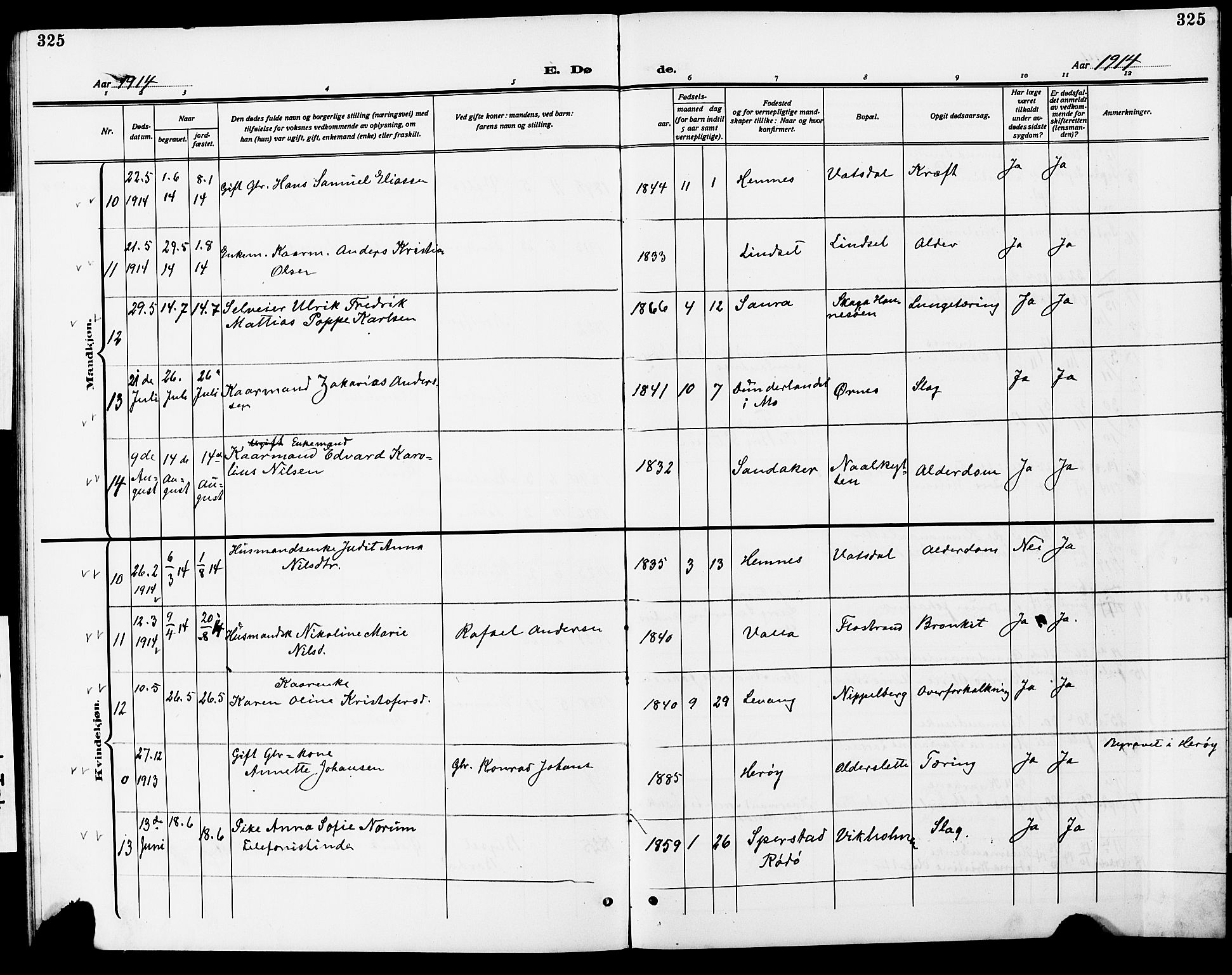 Ministerialprotokoller, klokkerbøker og fødselsregistre - Nordland, AV/SAT-A-1459/838/L0560: Parish register (copy) no. 838C07, 1910-1928, p. 325