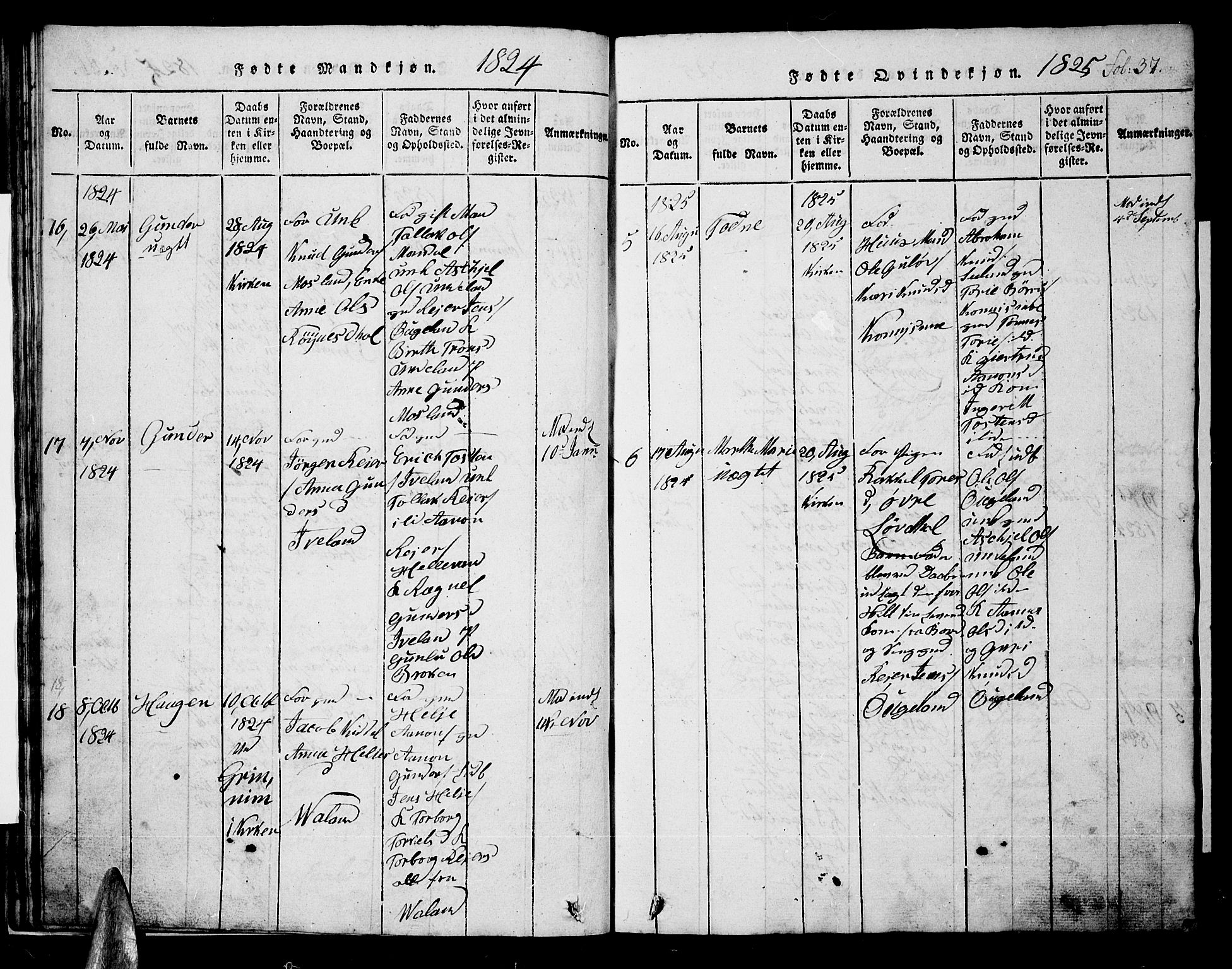 Nord-Audnedal sokneprestkontor, AV/SAK-1111-0032/F/Fb/Fba/L0001: Parish register (copy) no. B 1, 1815-1856, p. 37