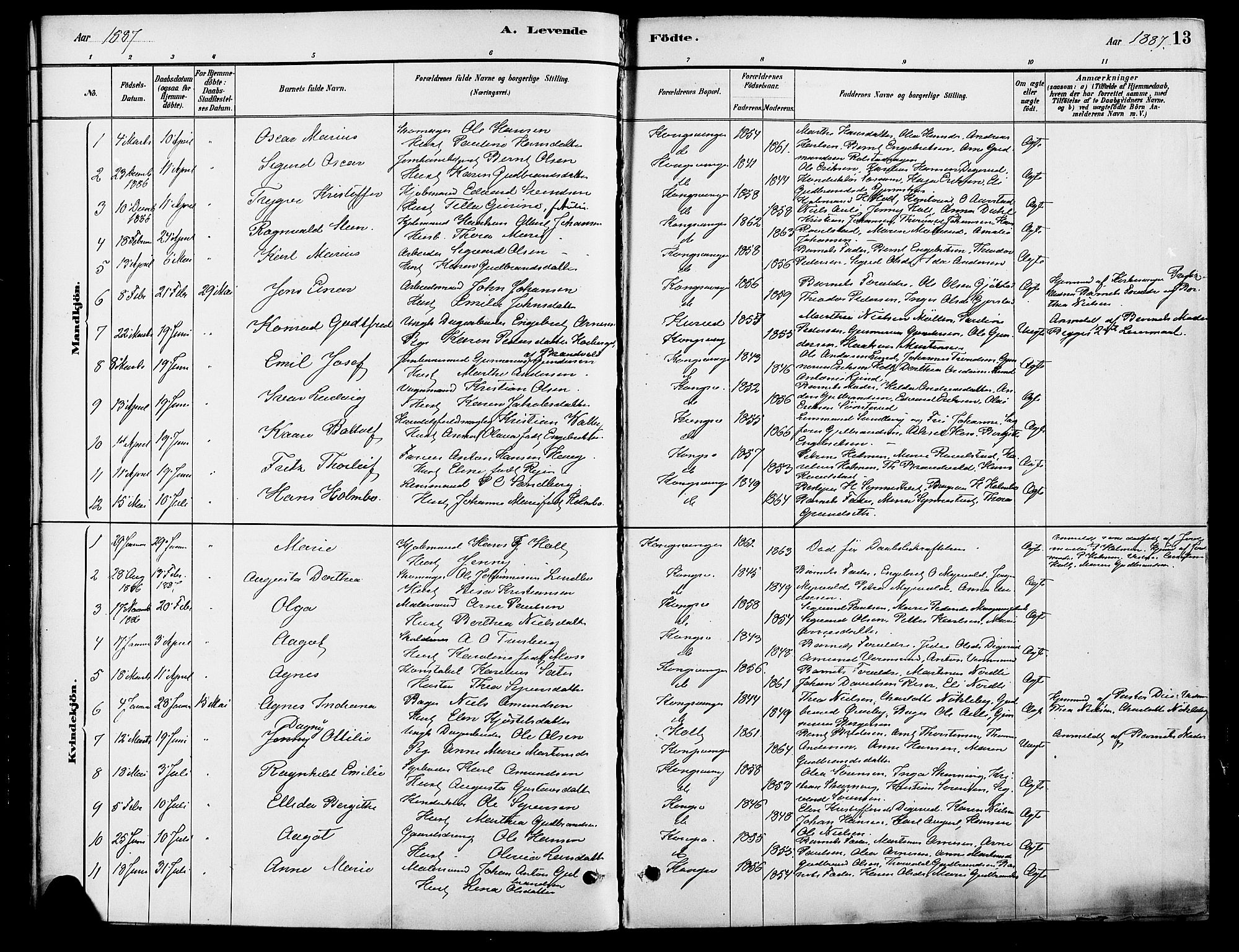 Vinger prestekontor, AV/SAH-PREST-024/H/Ha/Haa/L0013: Parish register (official) no. 13, 1881-1897, p. 13