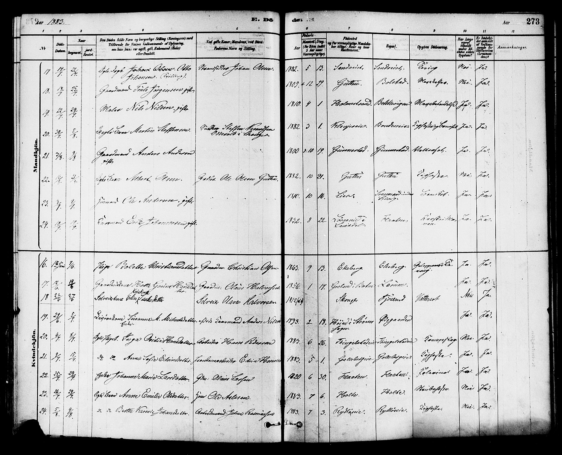 Sande Kirkebøker, AV/SAKO-A-53/F/Fa/L0006: Parish register (official) no. 6, 1878-1888, p. 273