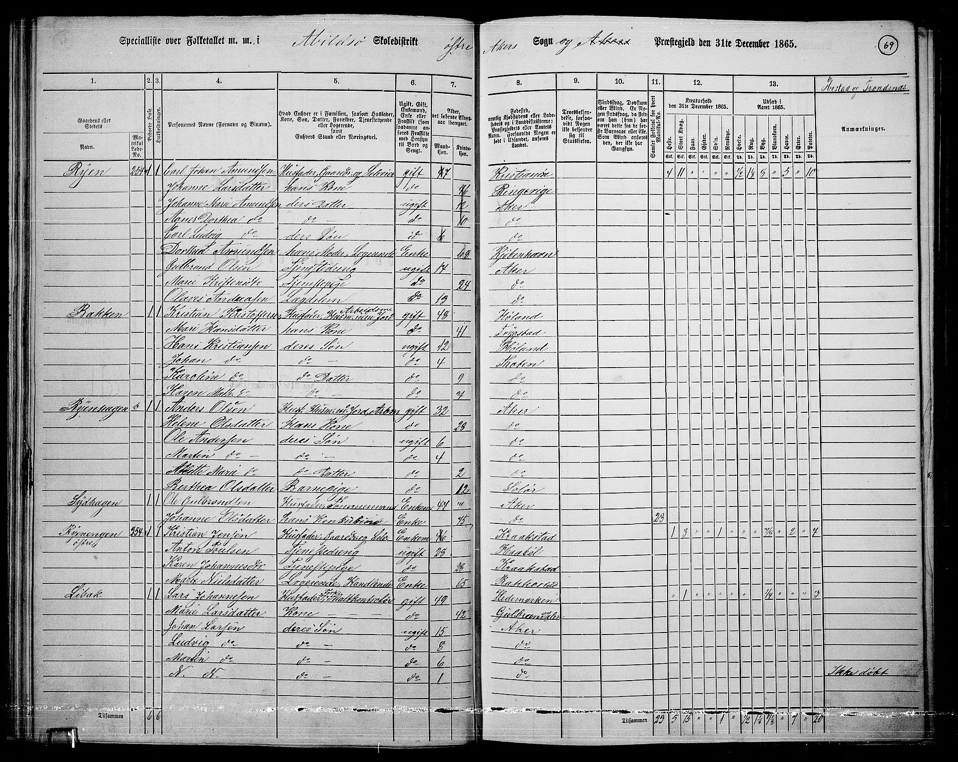 RA, 1865 census for Østre Aker, 1865, p. 293