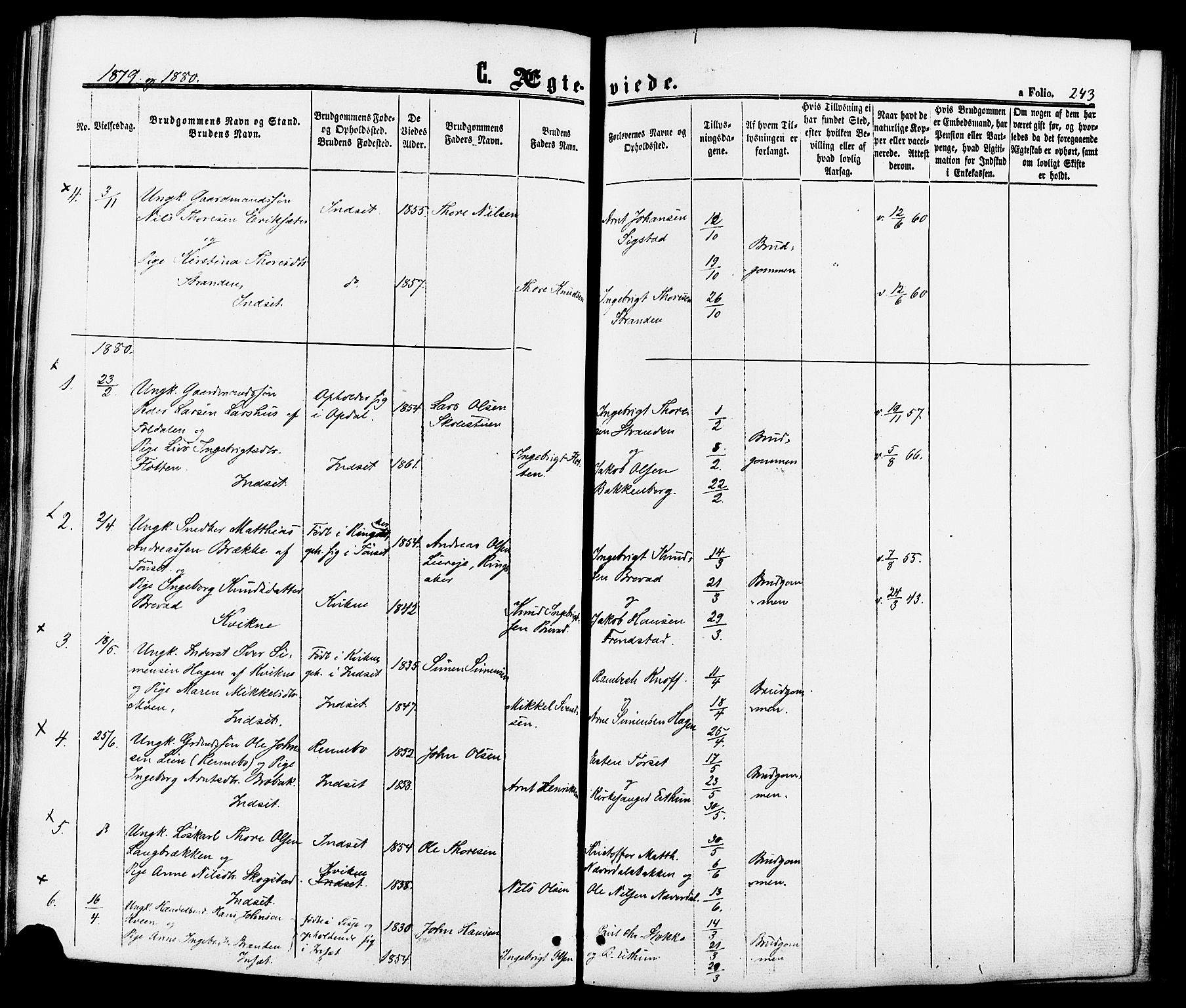 Kvikne prestekontor, SAH/PREST-064/H/Ha/Haa/L0006: Parish register (official) no. 6, 1863-1886, p. 243