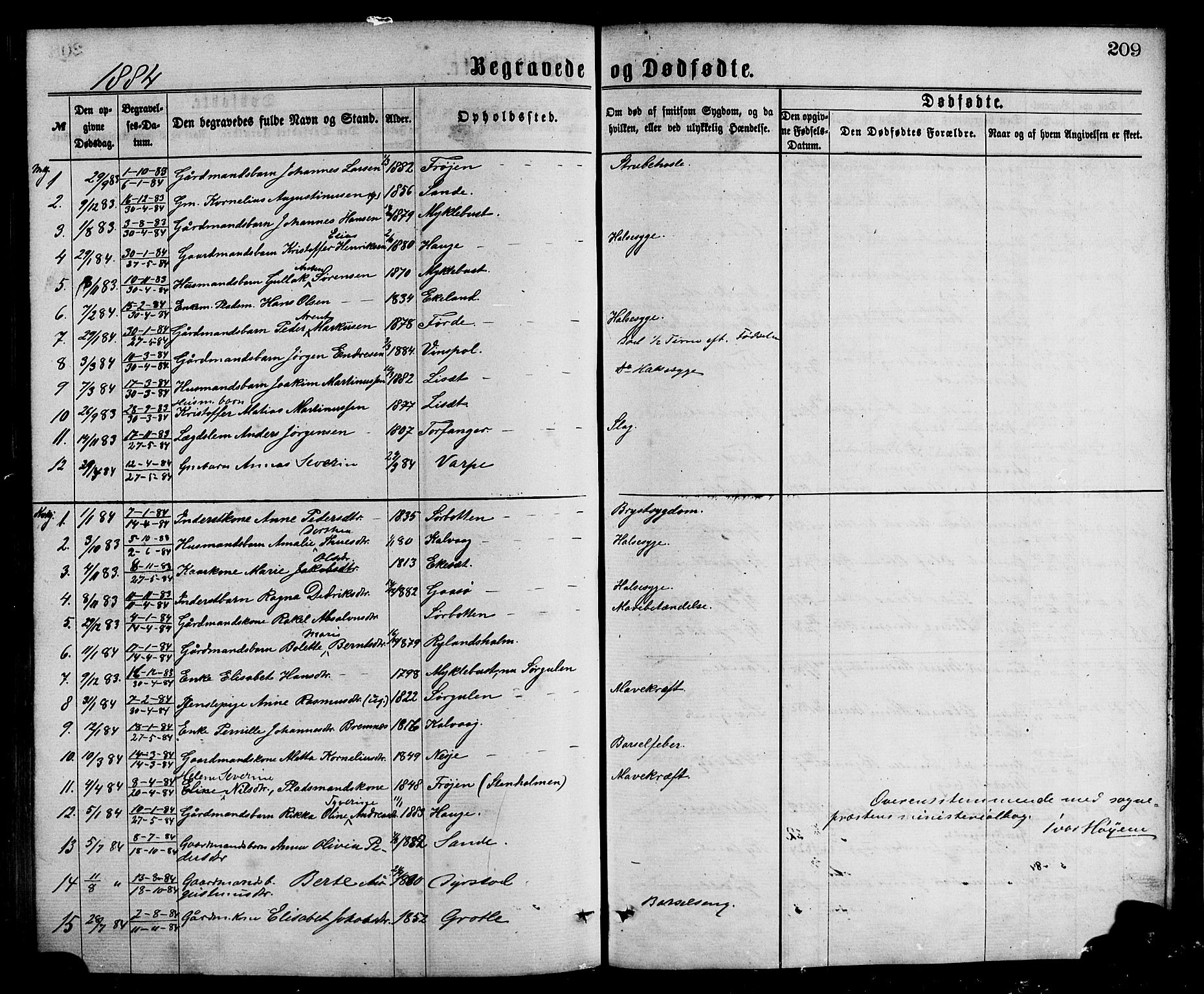 Bremanger sokneprestembete, SAB/A-82201/H/Hab/Haba/L0002: Parish register (copy) no. A 2, 1866-1889, p. 209